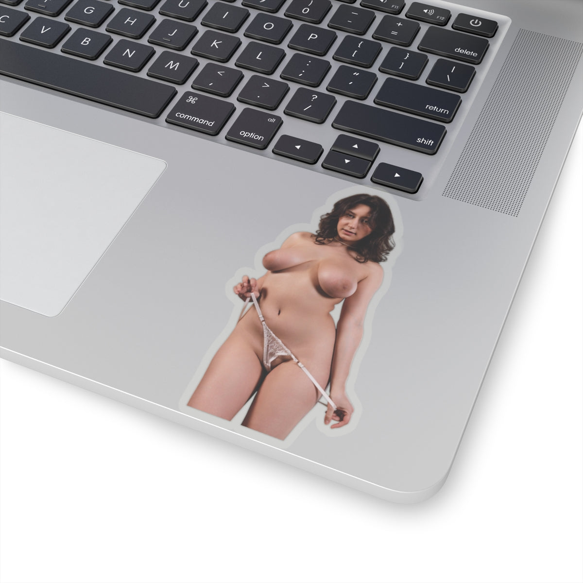 Vintage Sexy Girl Sticker Big Tits Women Erotic Decal
