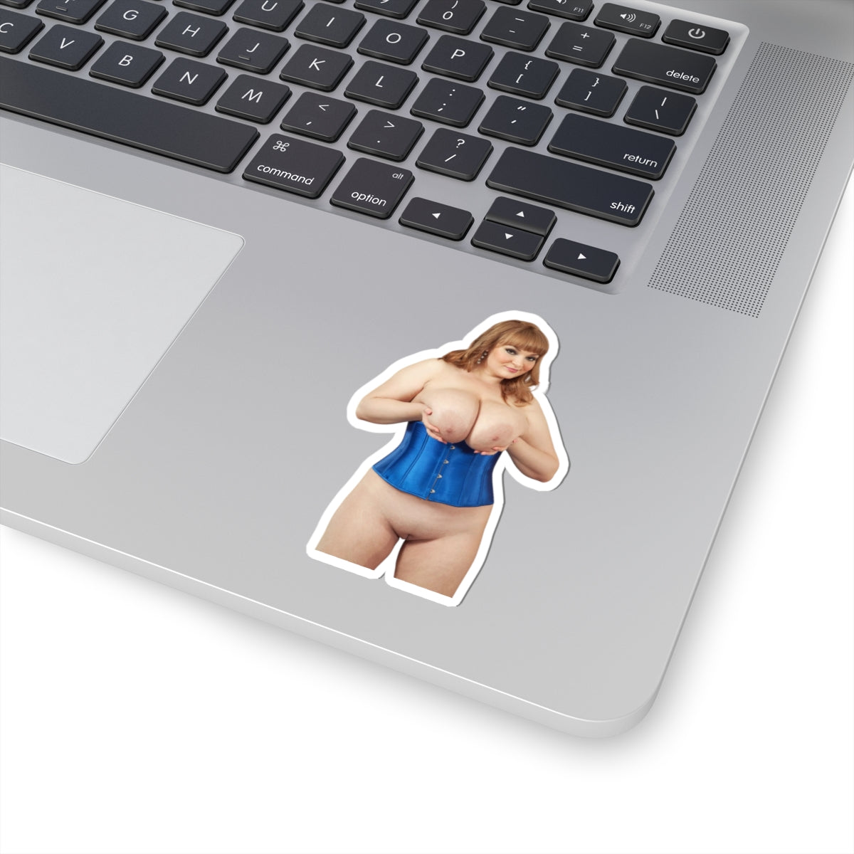 Big Boobs Thicc Curvy Naked Girl Adult Stickers