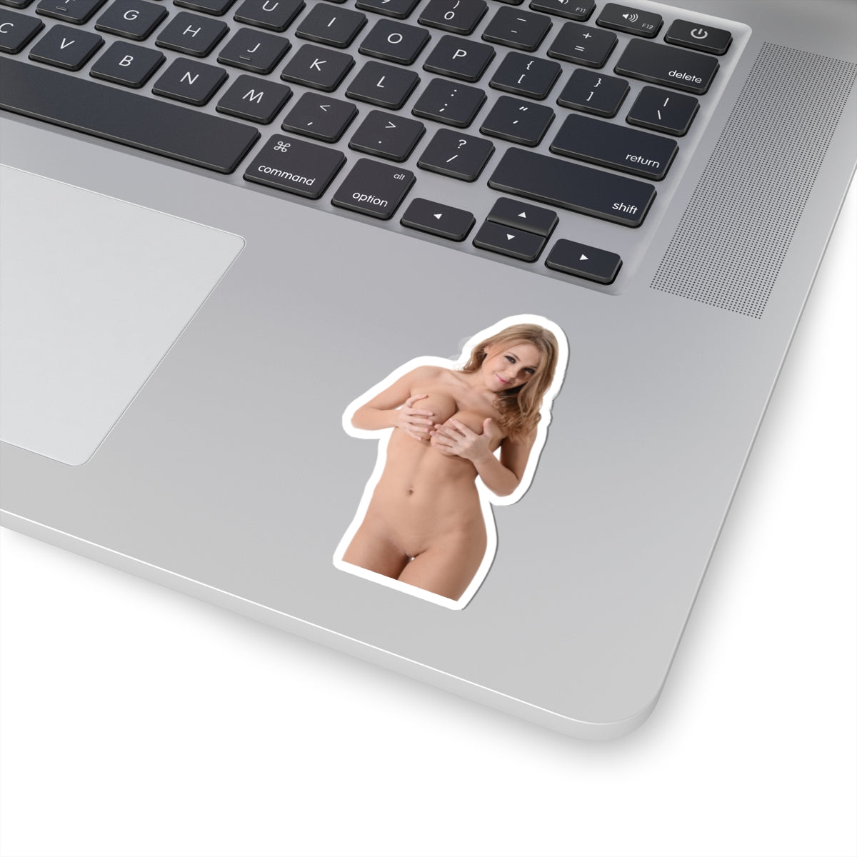 Hot Model Sticker Sexy Girl Adult Stickers