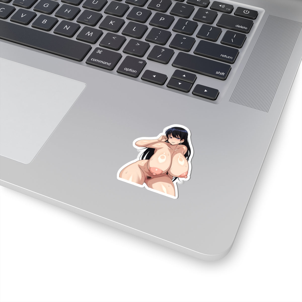 Hentai Anime Stickers Big Boobs Naked Girl animecartoonstickers
