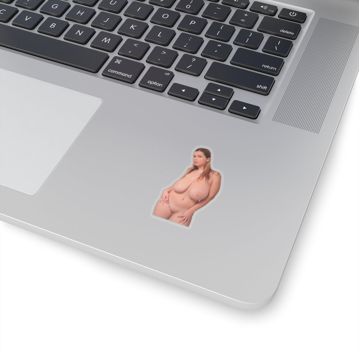 Naked Pussy XXX Sticker Nude Big Tits Stickers