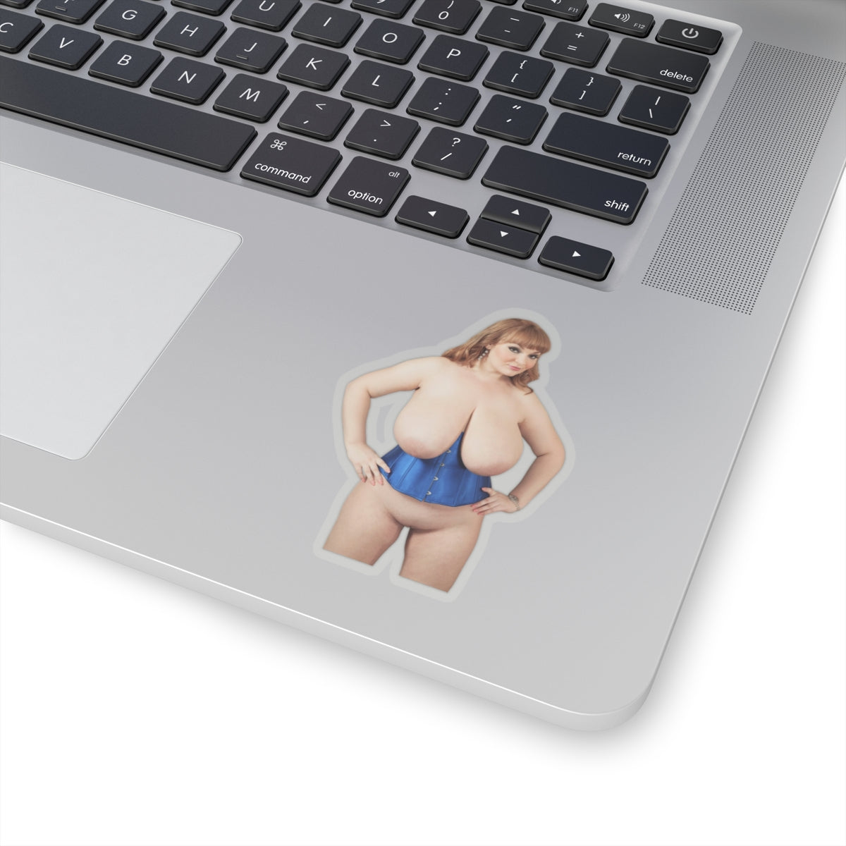 Big Boobs Thicc Curvy Naked Girl Stickers