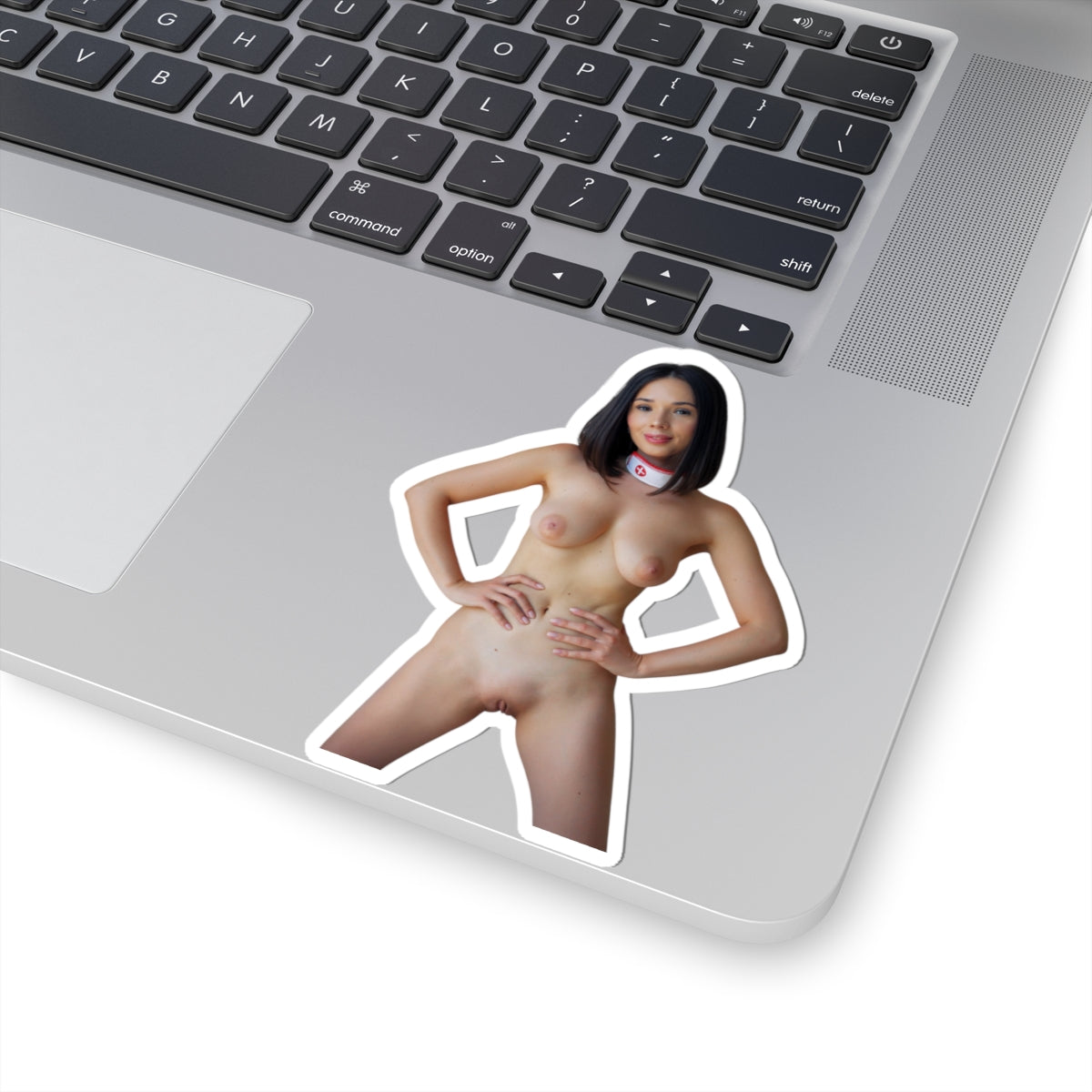 Pinup Stickers Sexy Naked Pretty Girls Sticker