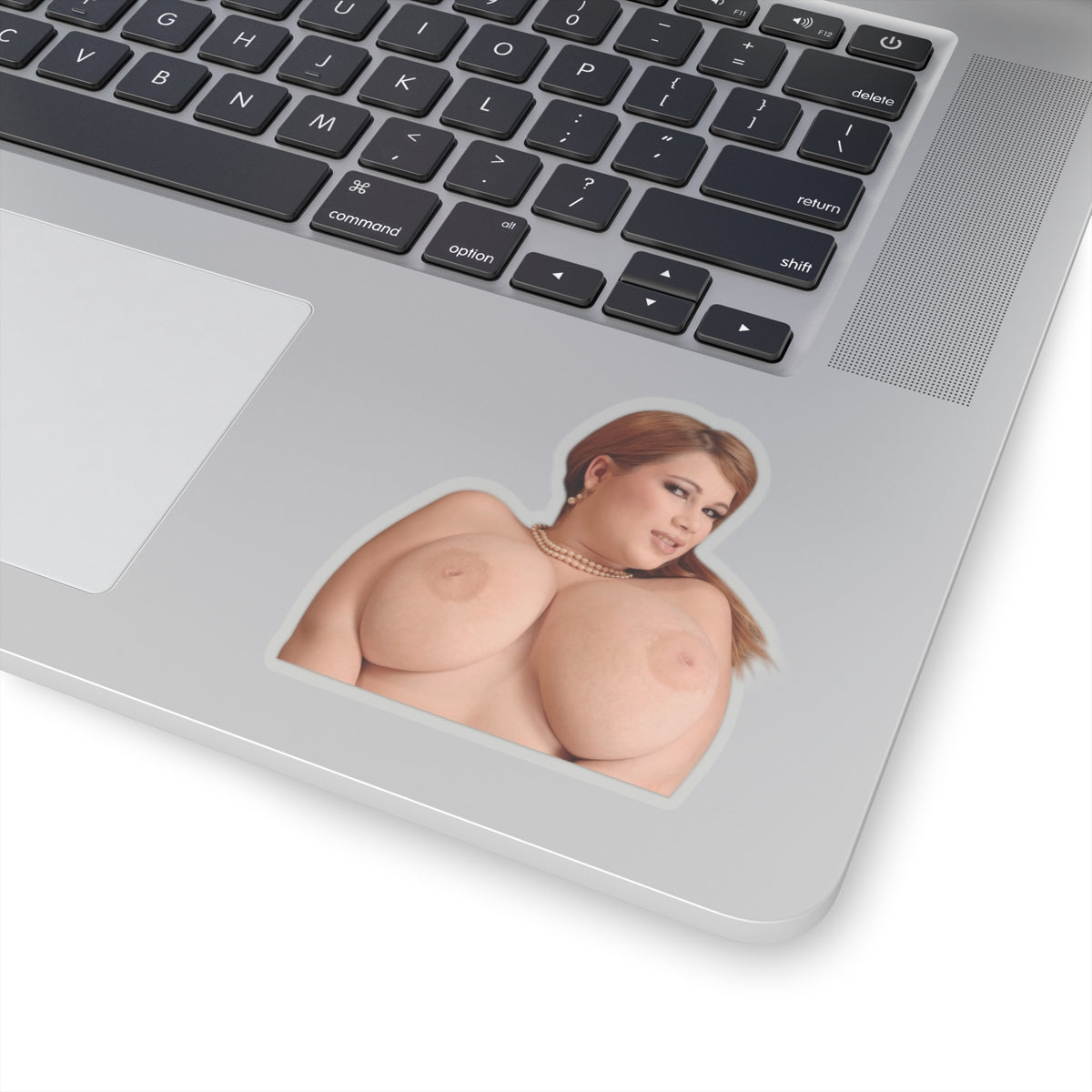Huge Boobs Big Tits Stickers