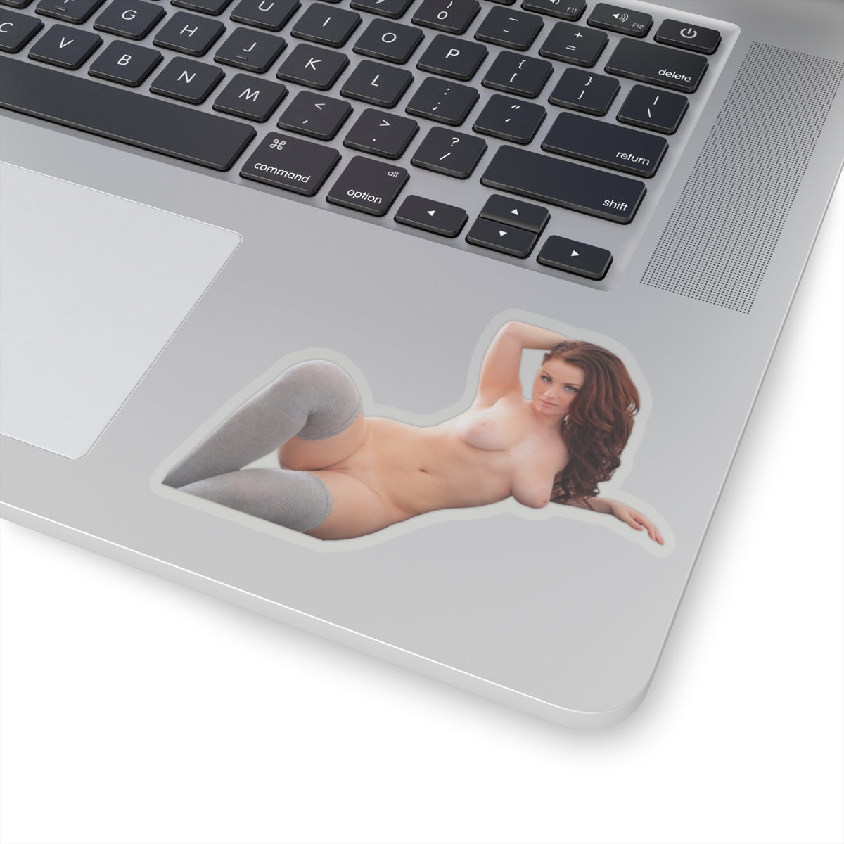 Sexy Girl Sticker Naked Pinup Model Stickers