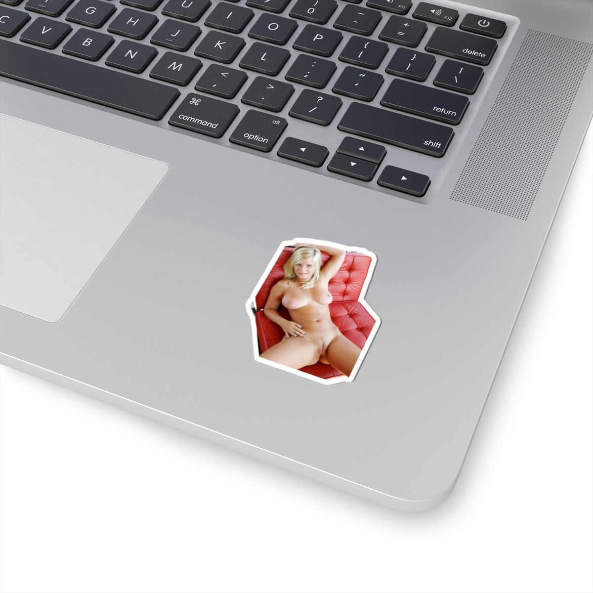 Nudity Stickers Big Tits Sexy Women Sticker