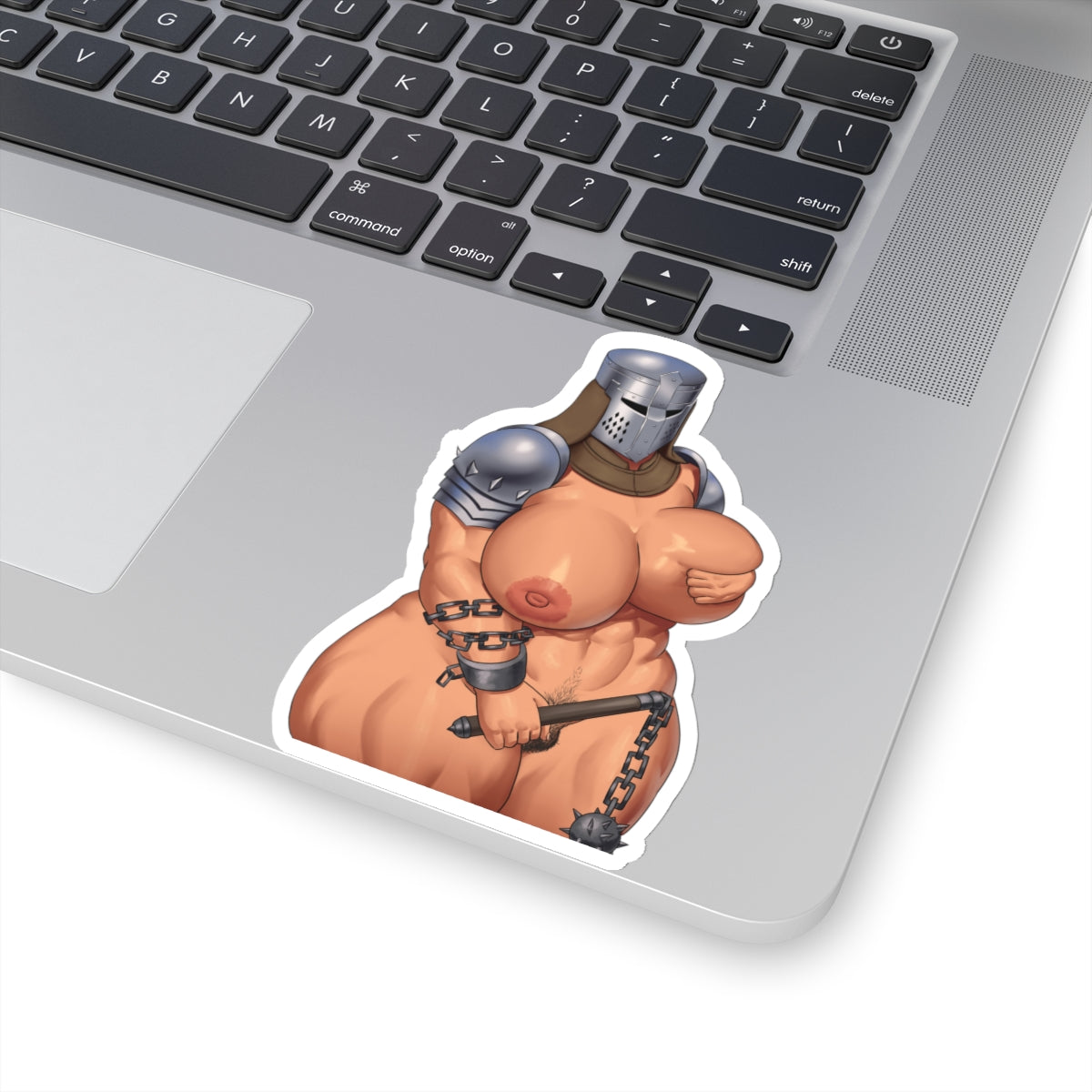 Knight Sticker Chivalry Sticker Squire Sticker Armor Naked Women Lewd Anime Cartoon Hentaii Stickers E638