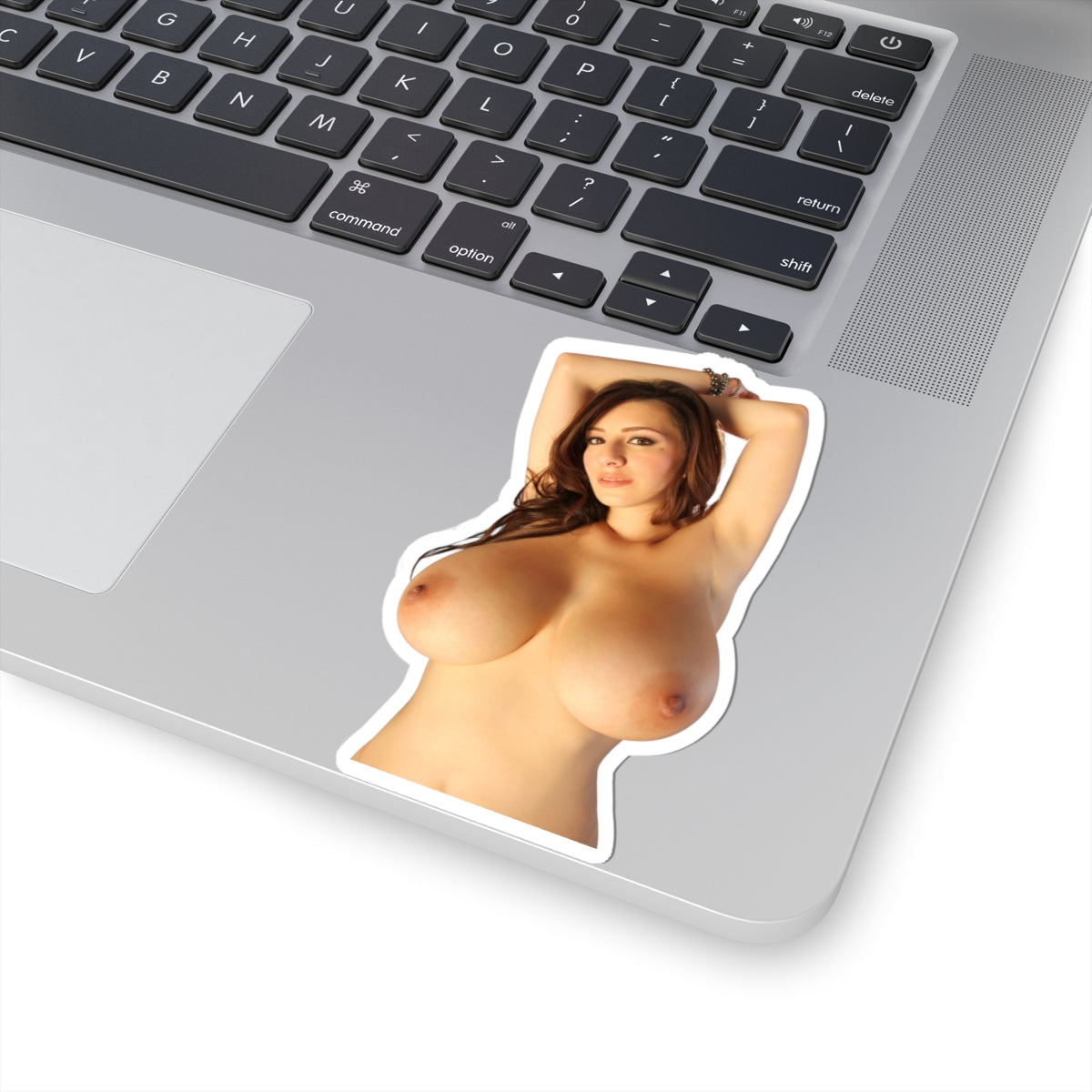 Naked Topless Girl Sticker Big Boobs Model Stickers