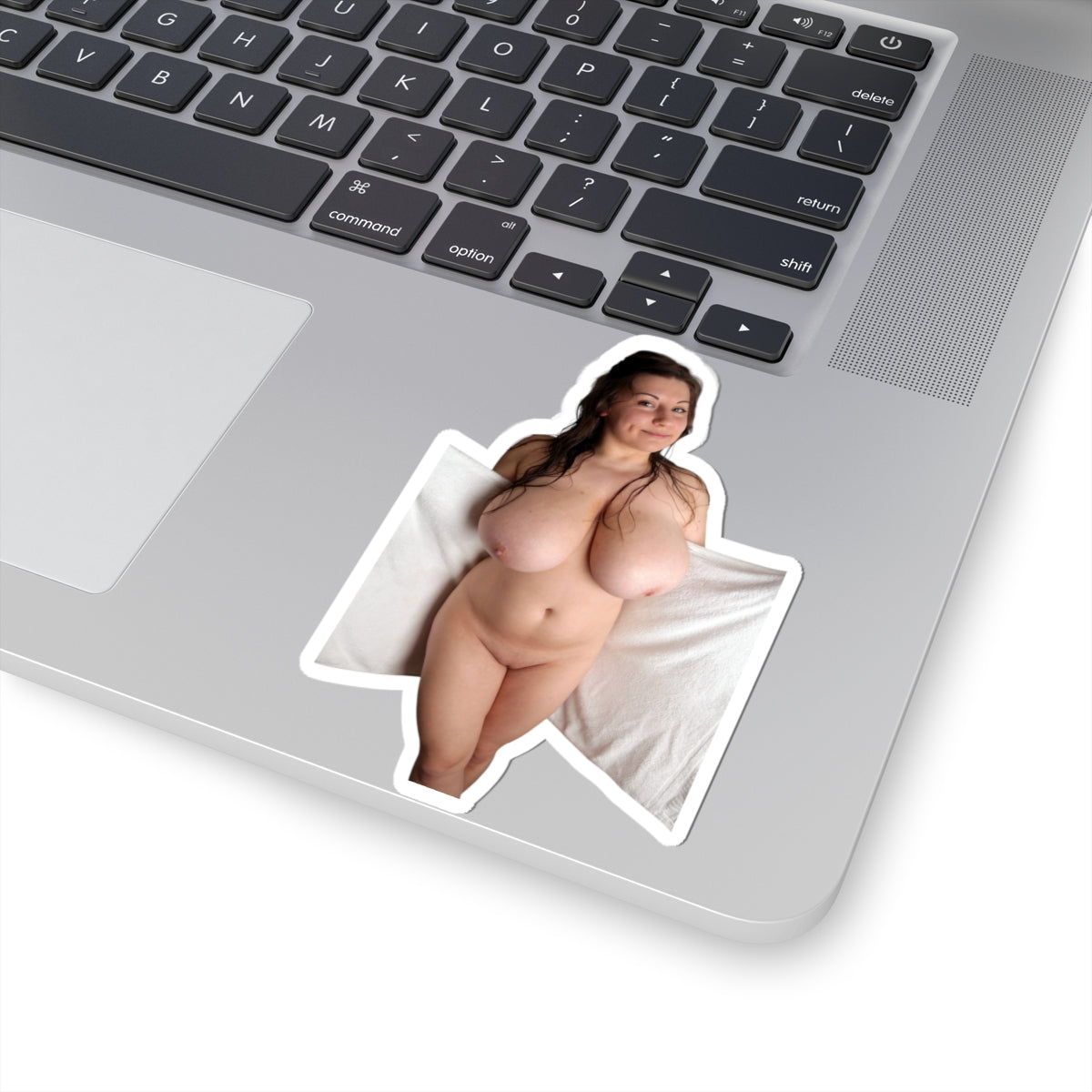 Samanta Lily Sticker Big Tits Sexy Girl Stickers
