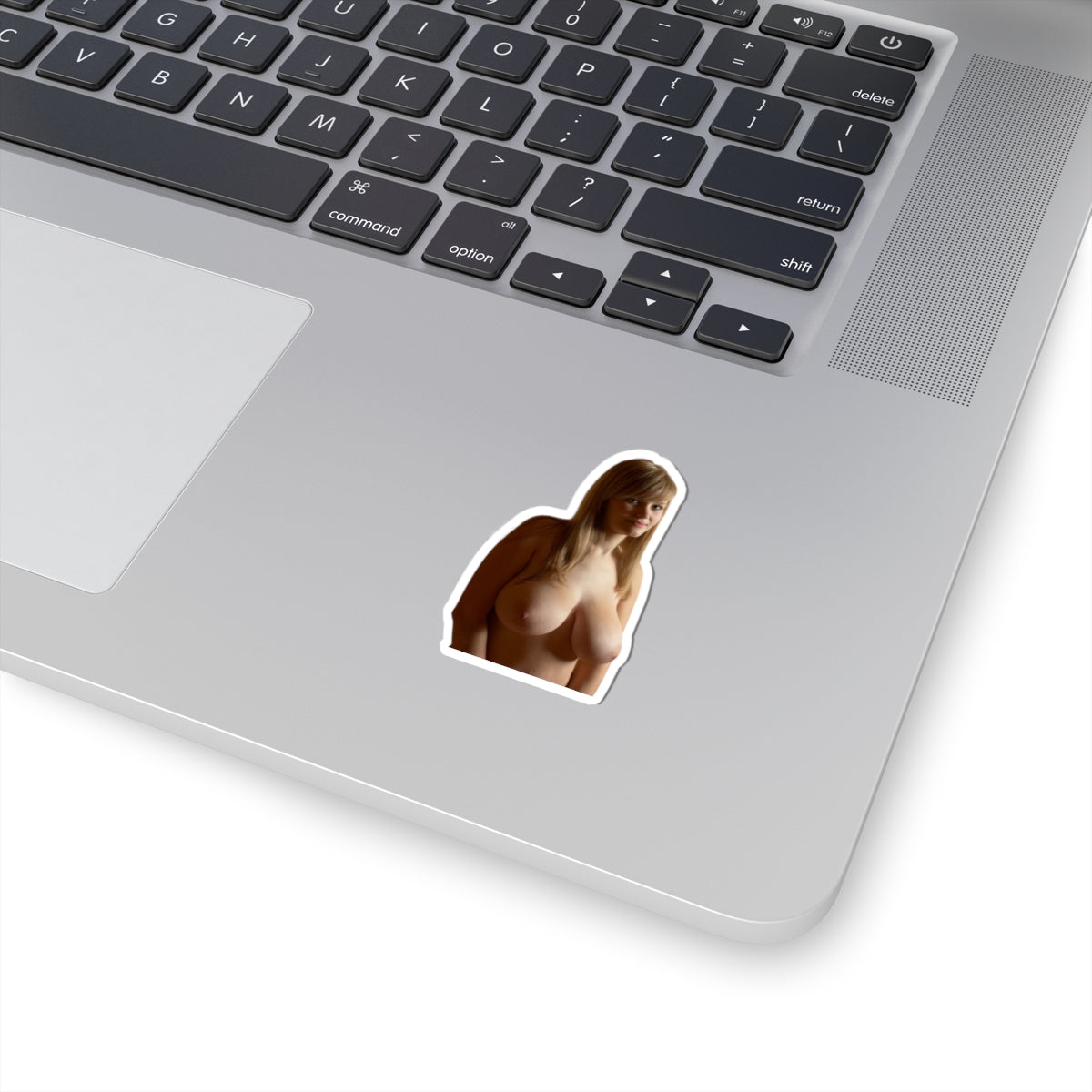 Sexy Big Boobs Girl Sticker Adult Stickers For Men