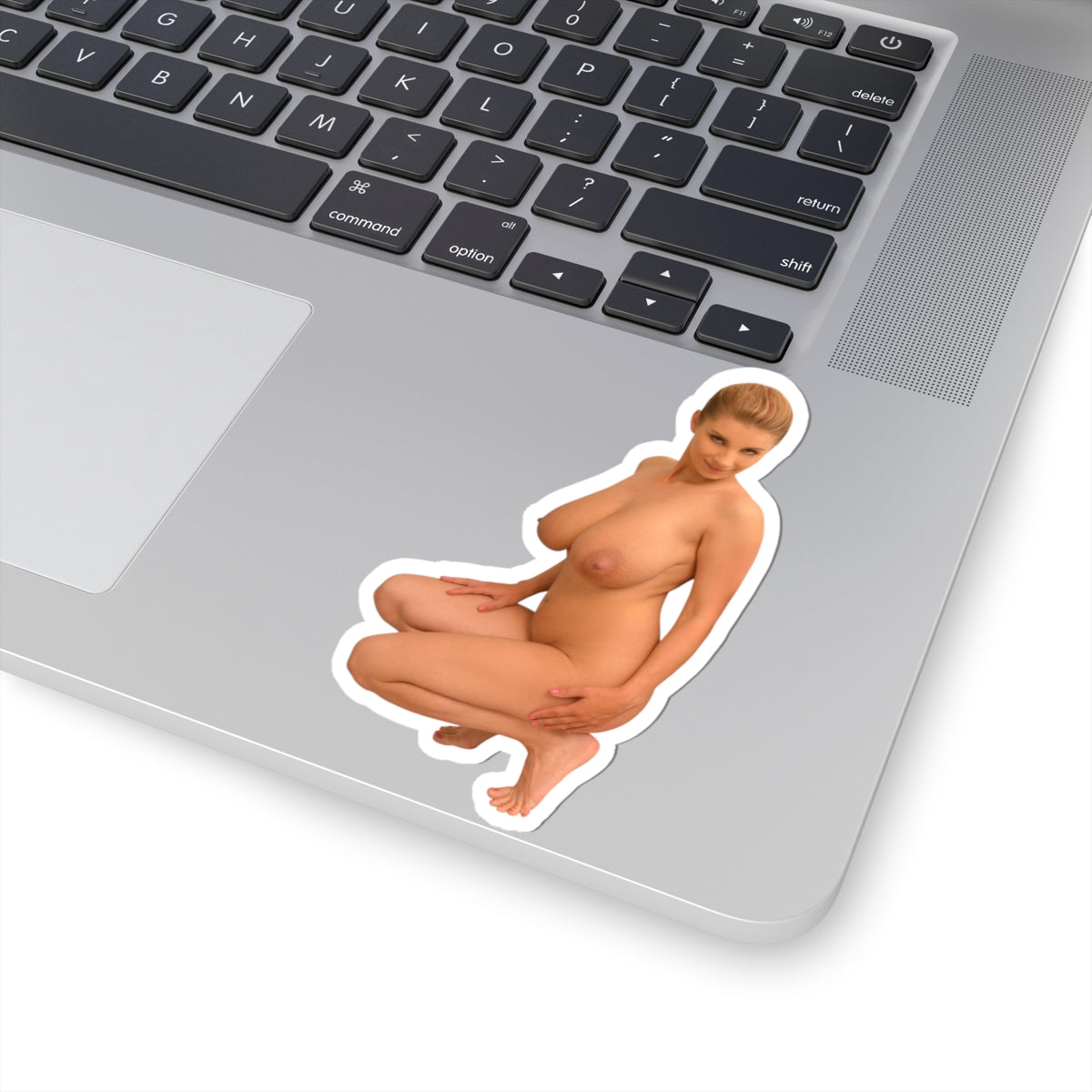 Tits Stickers Boobs Sticker