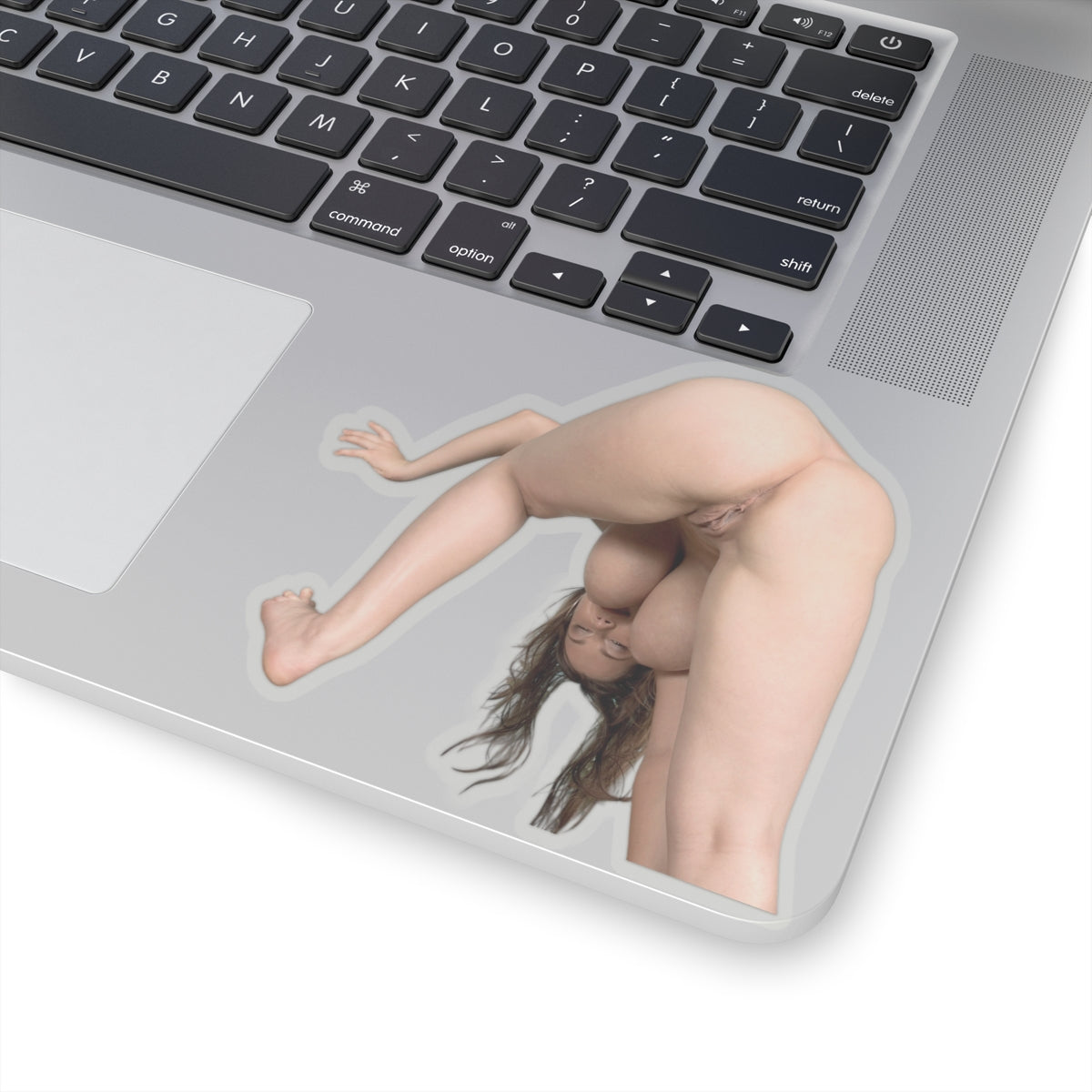 Big Ass Boobs Girl Sticker 1