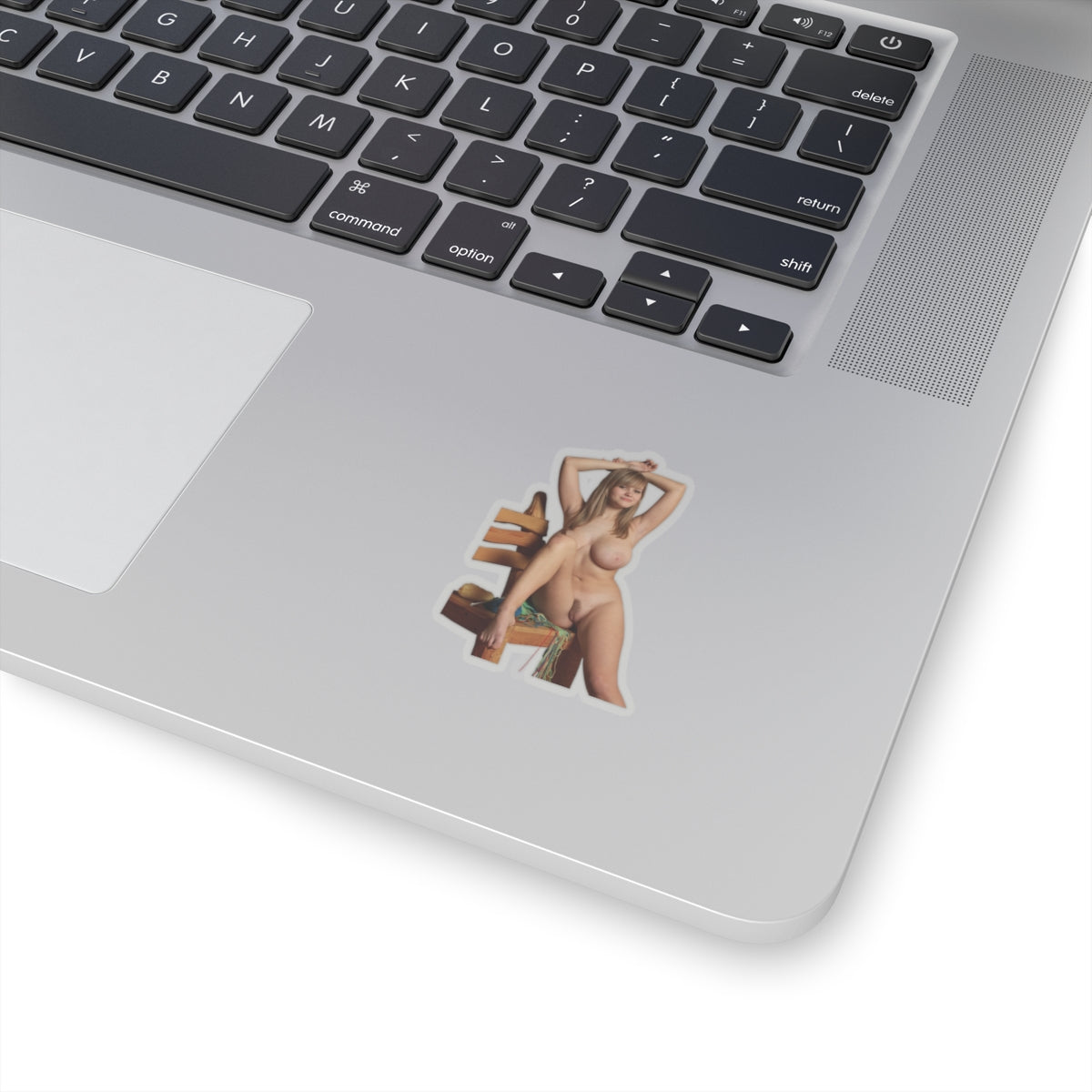 Sexy Big Tits Nude Girl Sticker Adult Stickers For Men