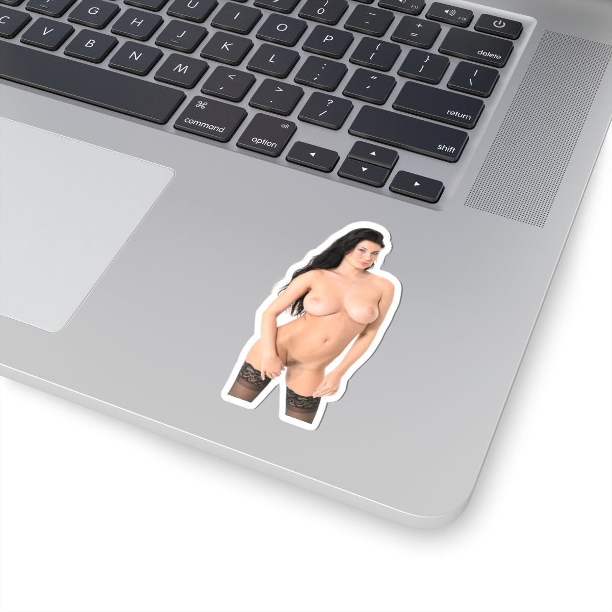 sexy brunette sticker big tits girl pinup model stickers