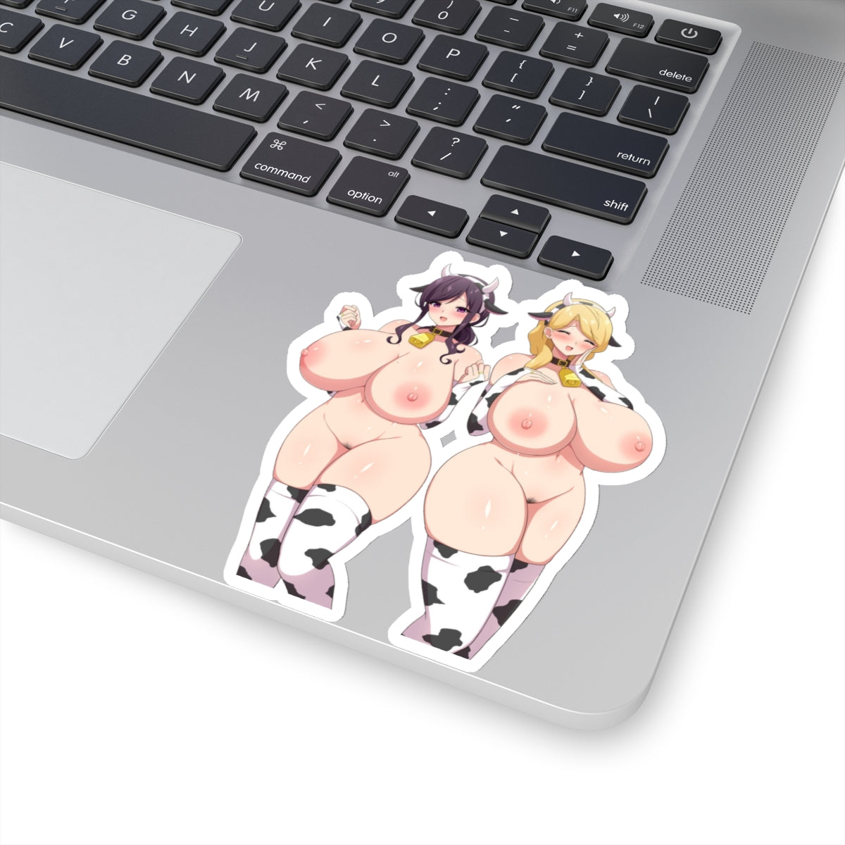 Naked Anime Girls Sticker Adult Art Hot Girl Kawaii Women Mature Content 4 Sizes Transparent or White Vinyl Stickers E217