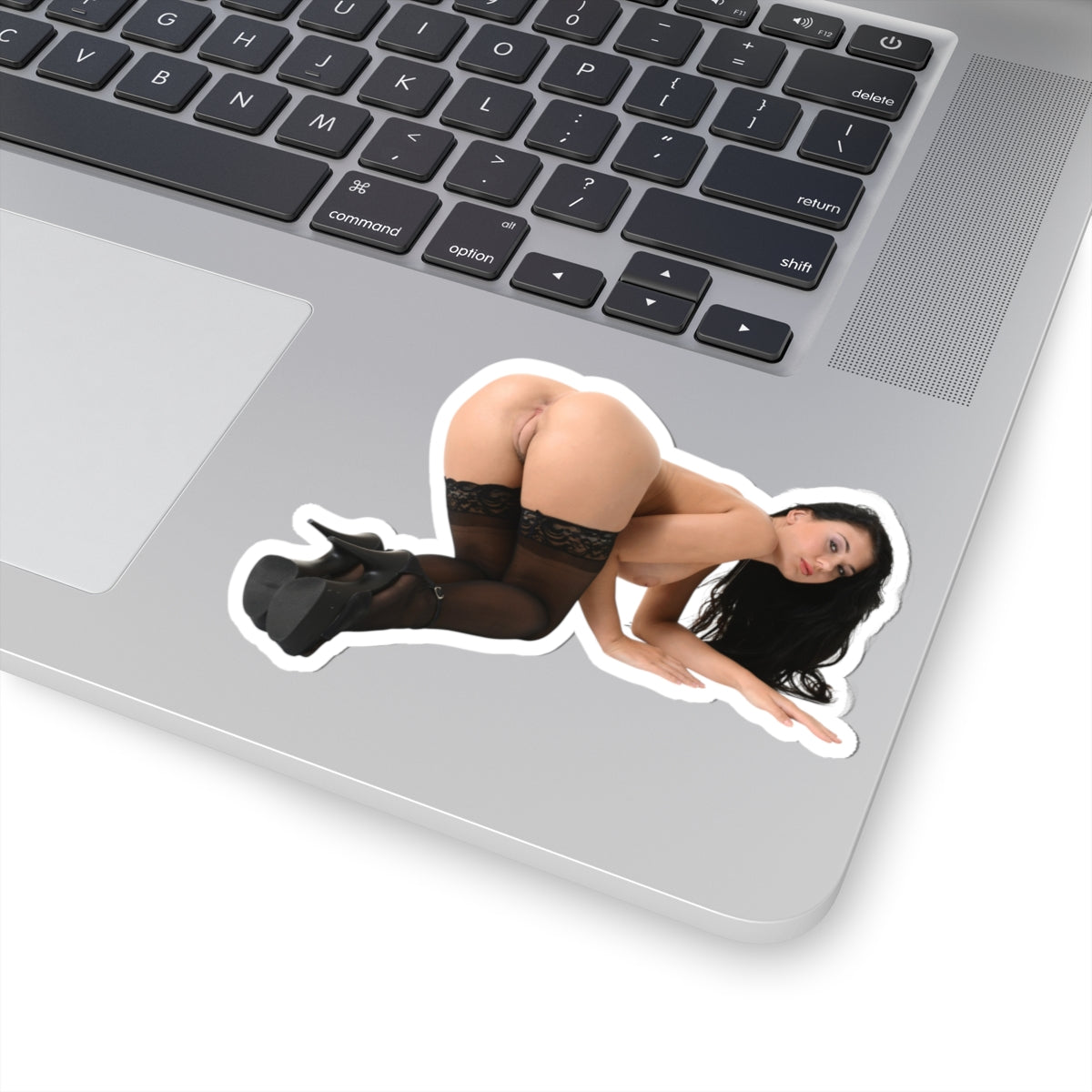 sexy brunette sticker big tits women botty stickers