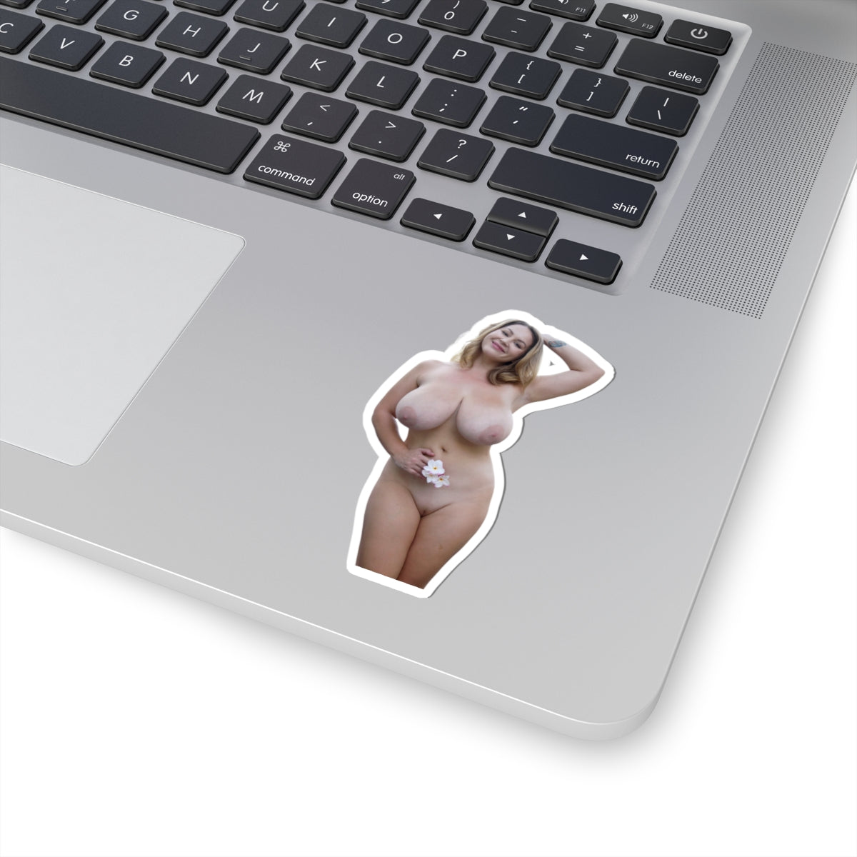 Big Tits Girl Sticker Pinup Model Stickers