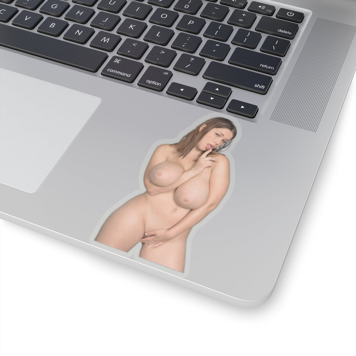 Big Boobs Girl Sticker Pinup Stickers Nude Women Sexy Girls