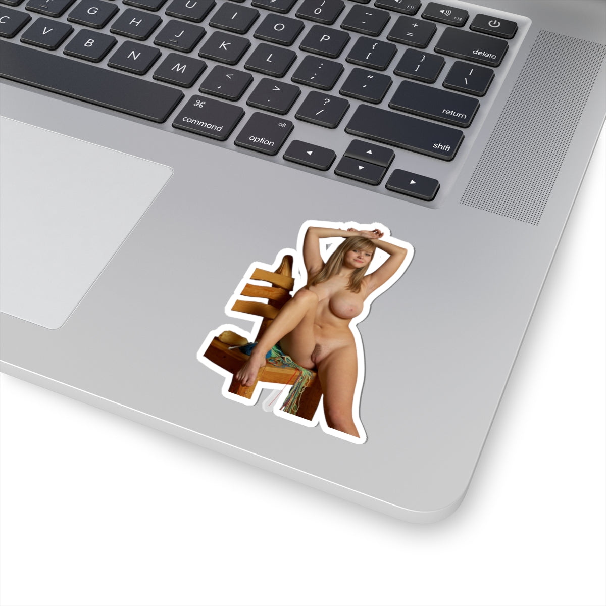 Sexy Big Tits Nude Girl Sticker Adult Stickers For Men