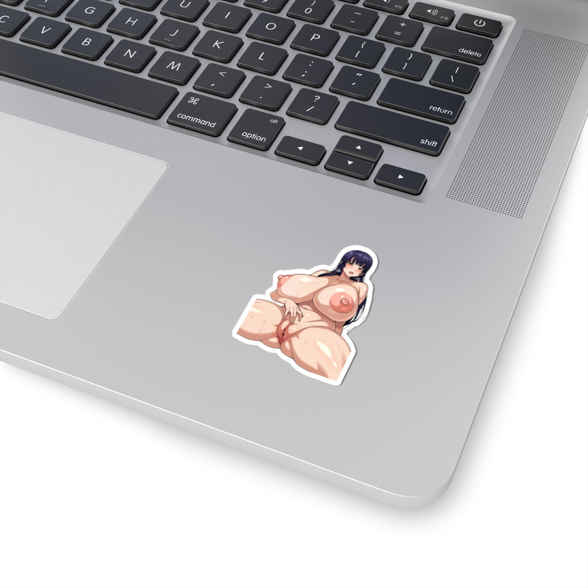 Hentai Anime Stickers Uncensored Decals animecartoonstickers