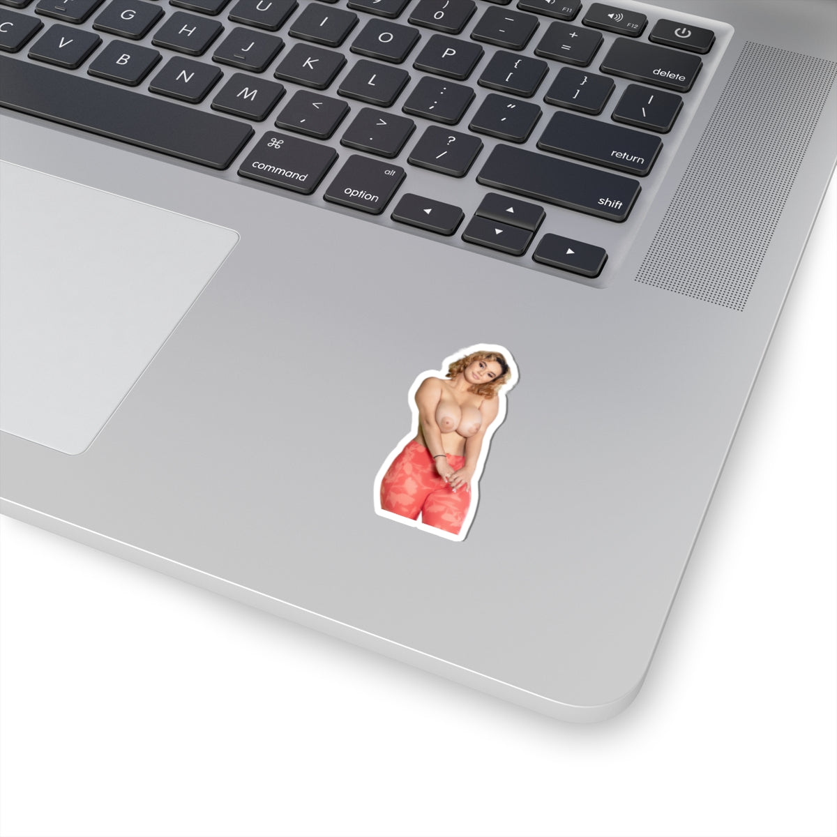 Big Boobs Girl Sticker Pinup Model Adult Stickers