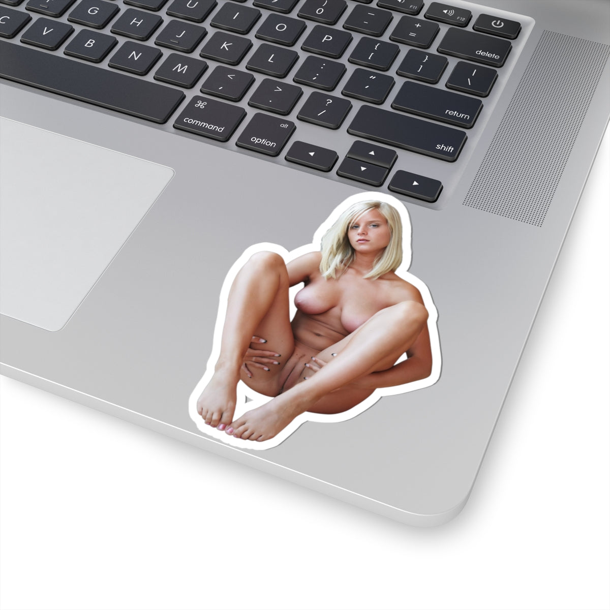 Sexy Woman Vinyl Sticker Pinup Adult Gift for Men