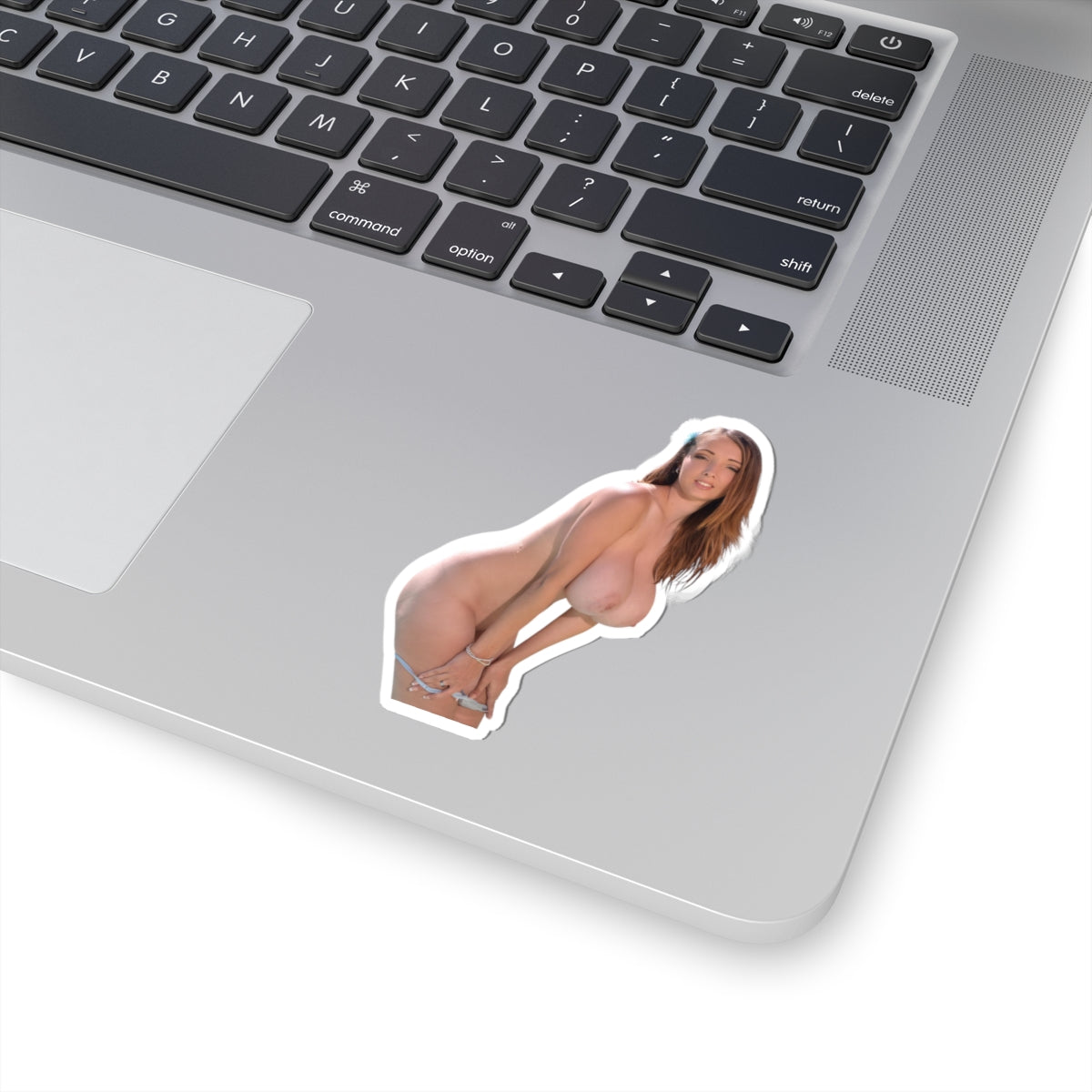 Big Tits Sexy Model Sticker