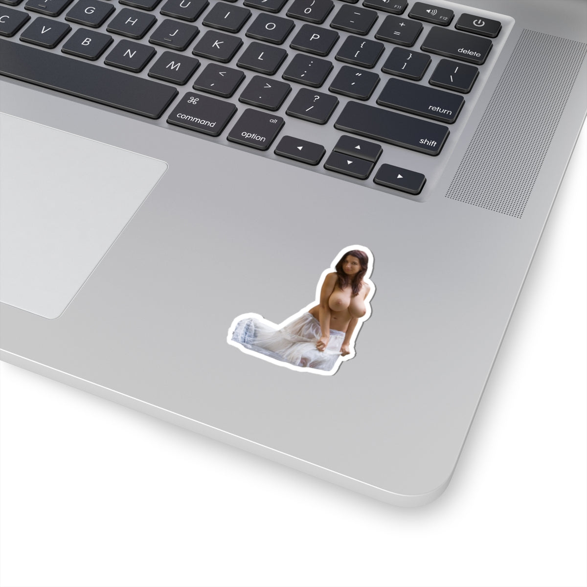 Busty Girl Sticker Big Boobs Women