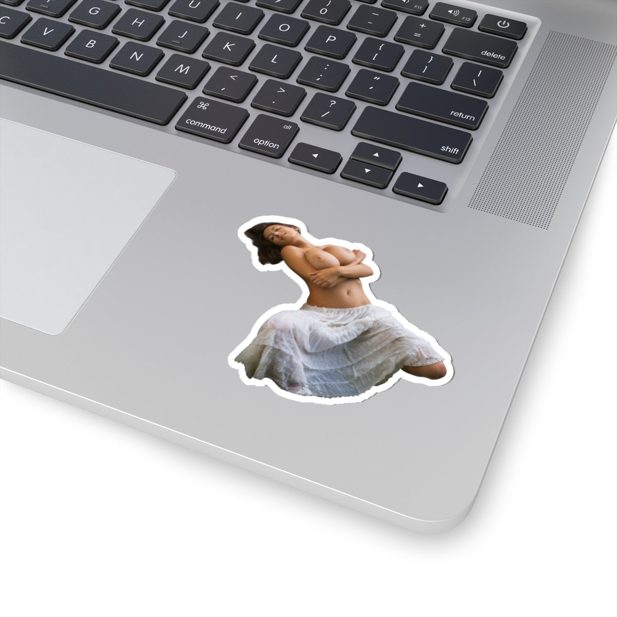 Busty Girl Sticker Big Tits Women