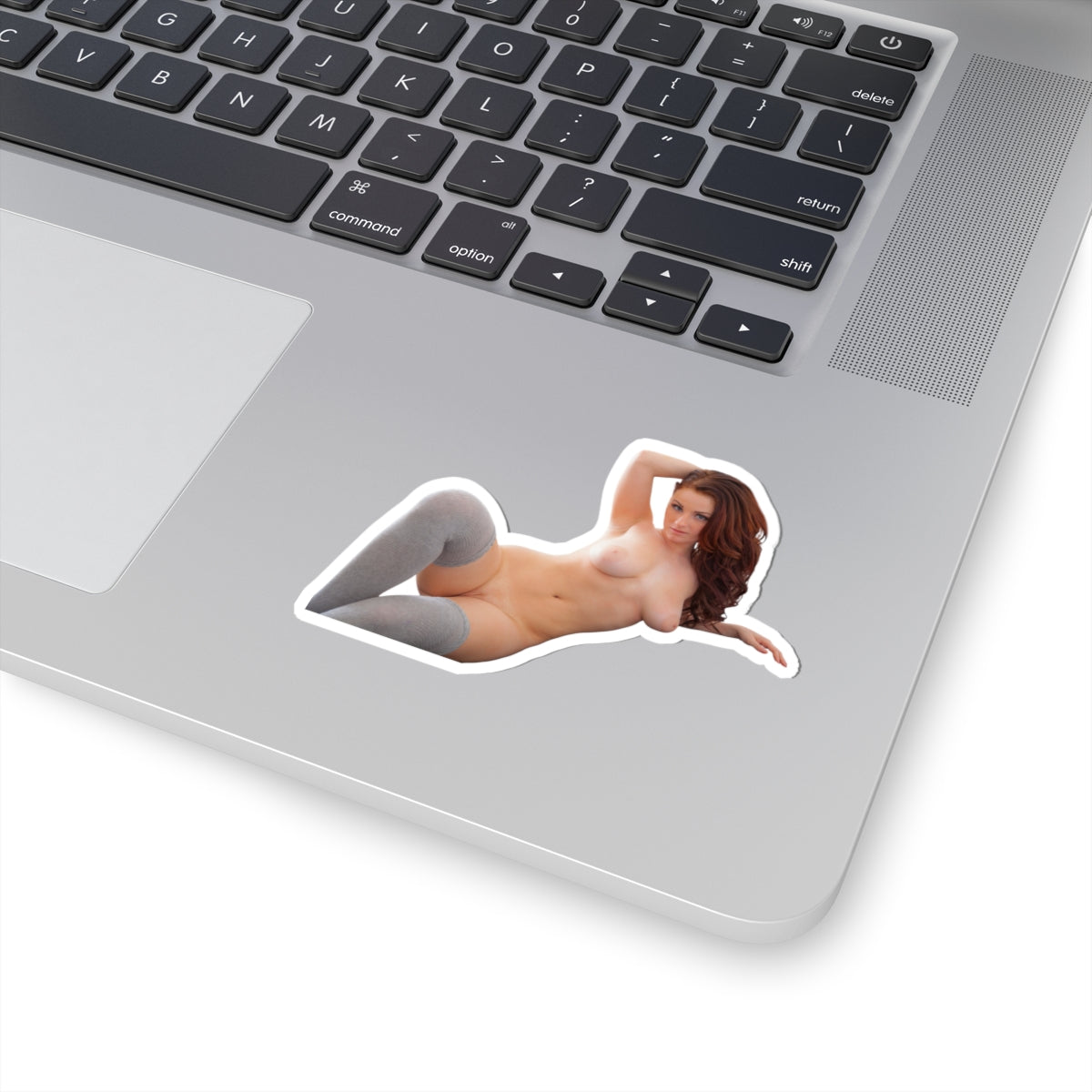 Sexy Girl Sticker Naked Pinup Model Stickers