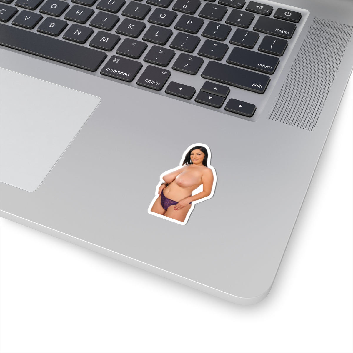 Curvy Pinup Model Sticker Vinyl Decal Sexy Woman Artwork
