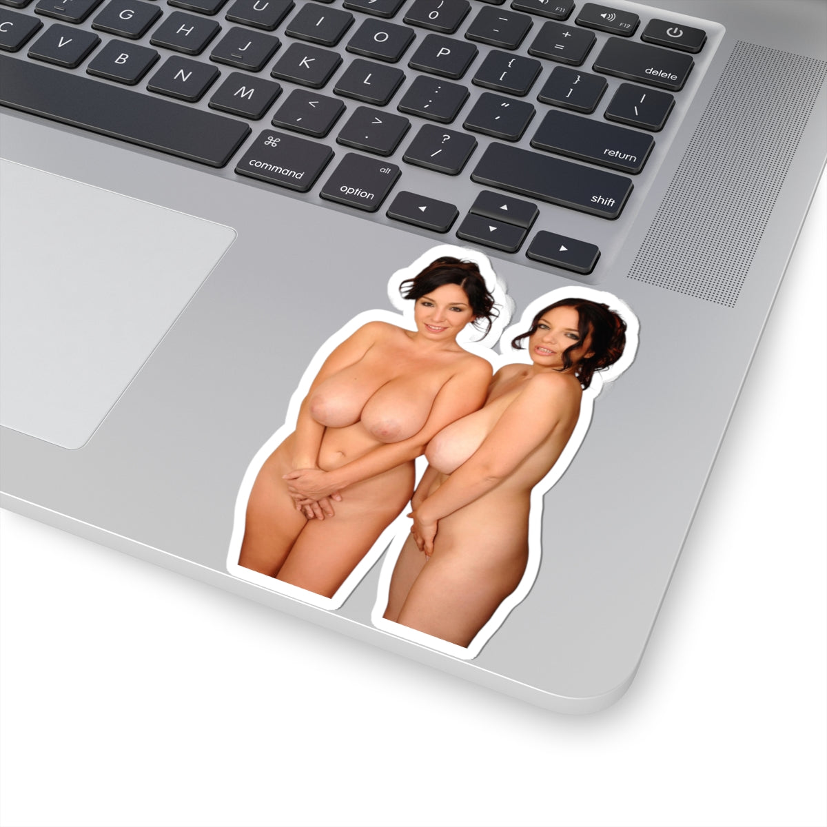 busty girls vinyl stickers