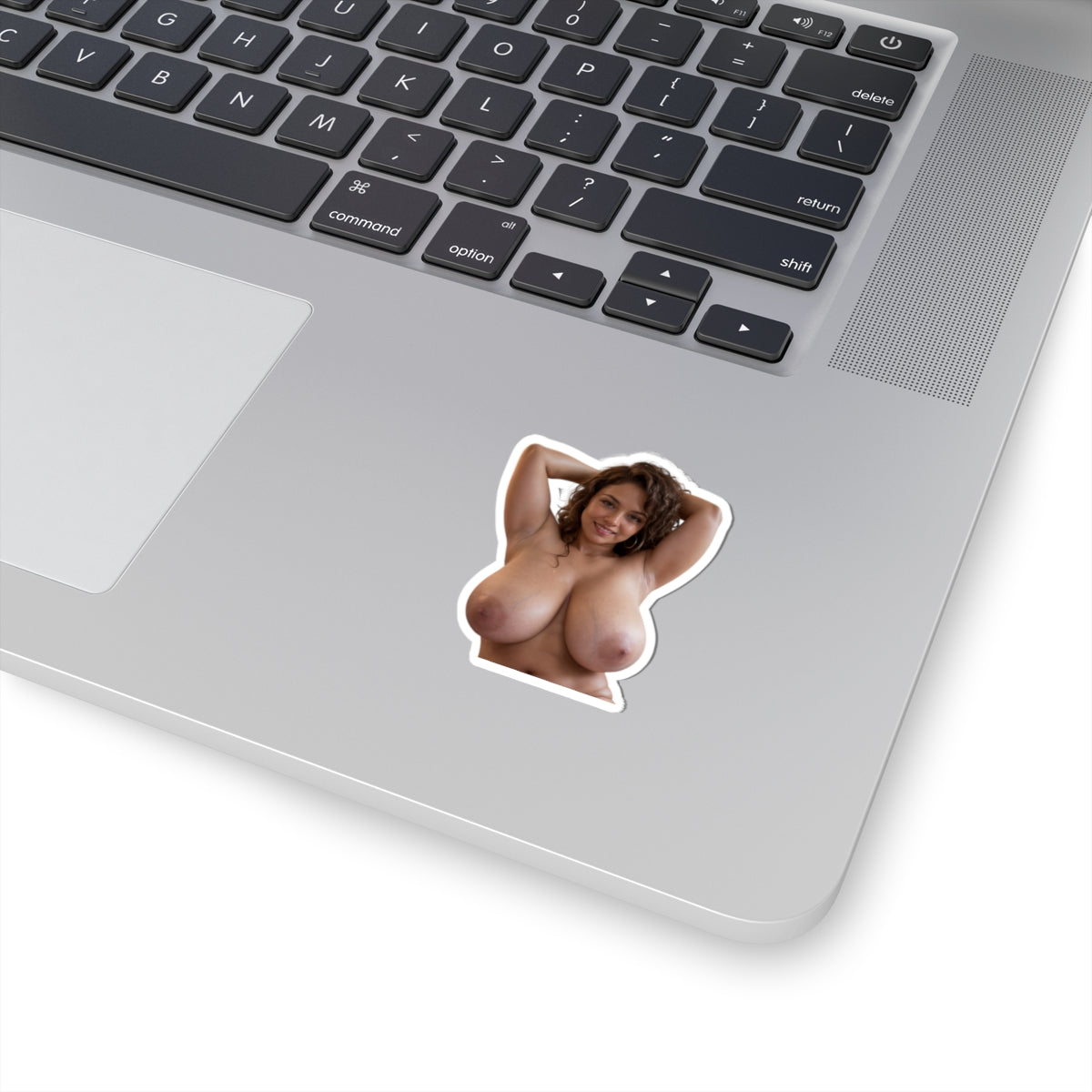 Huge Big Boobs Lady Sticker Adult Stickers XXX Decals