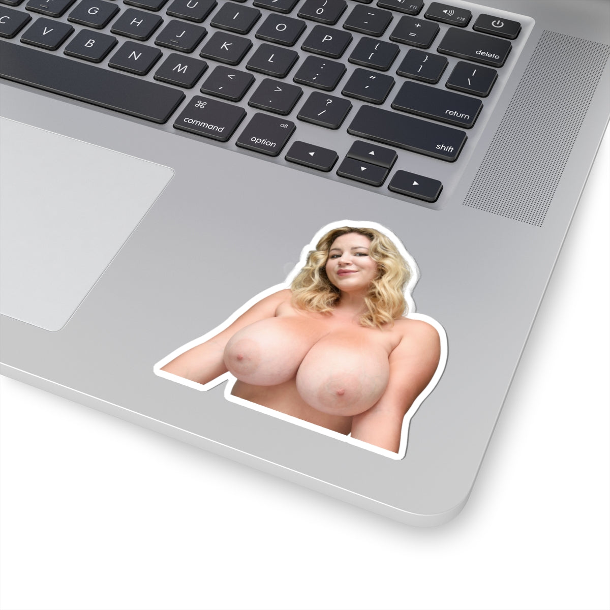 Hot Girl Sticker Big Boobs Women Stickers