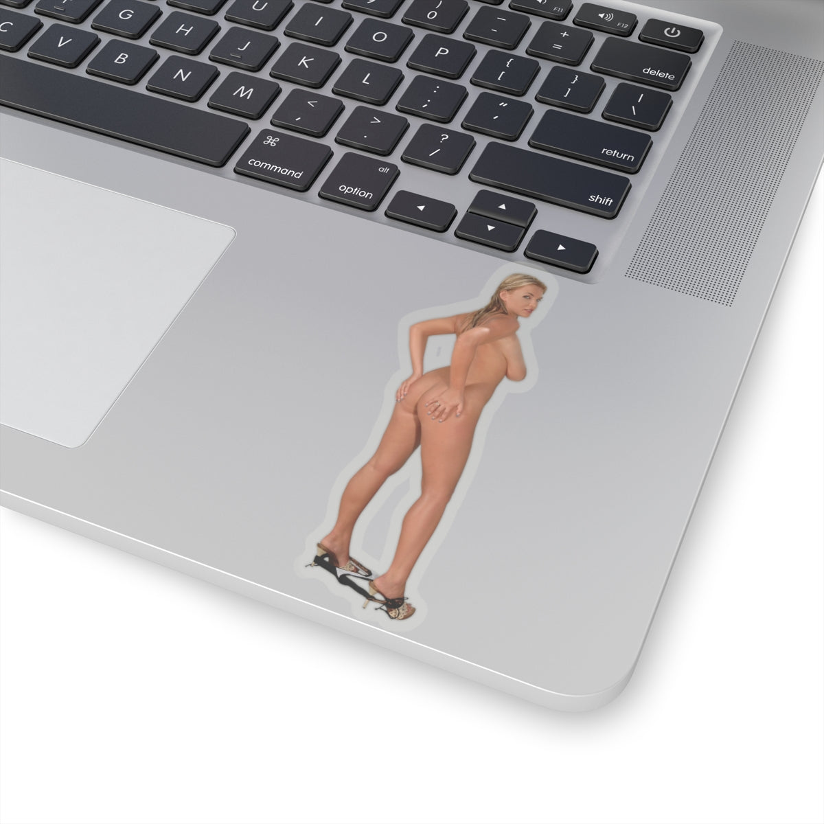 Blonde Sexy Naked Girl Ass Tits Stickers