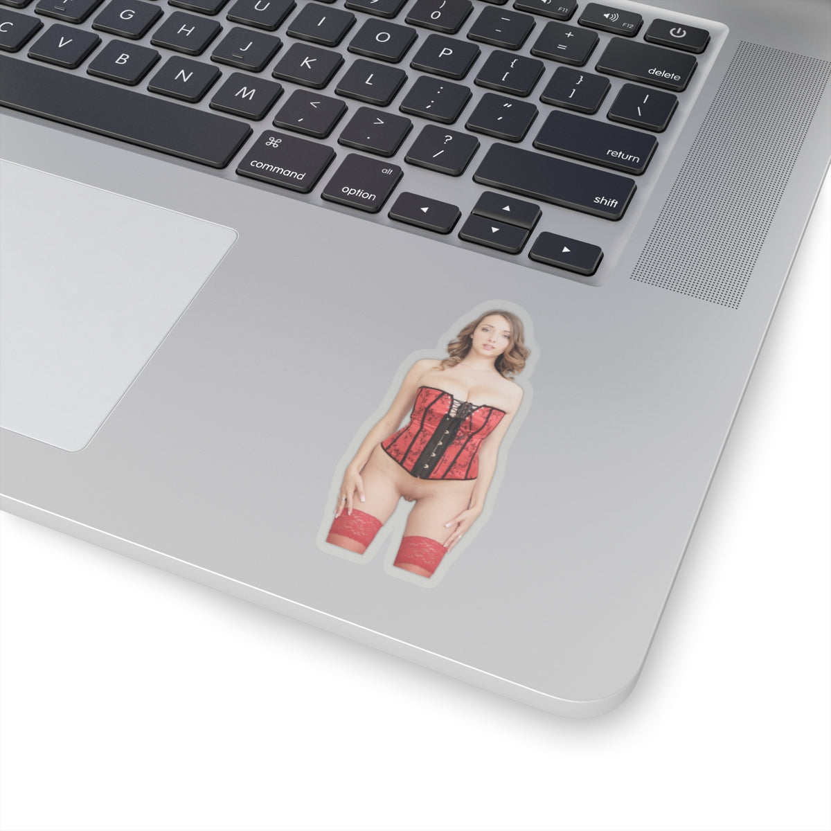 Naked Women Sticker Sexy Mature Adult Stickers