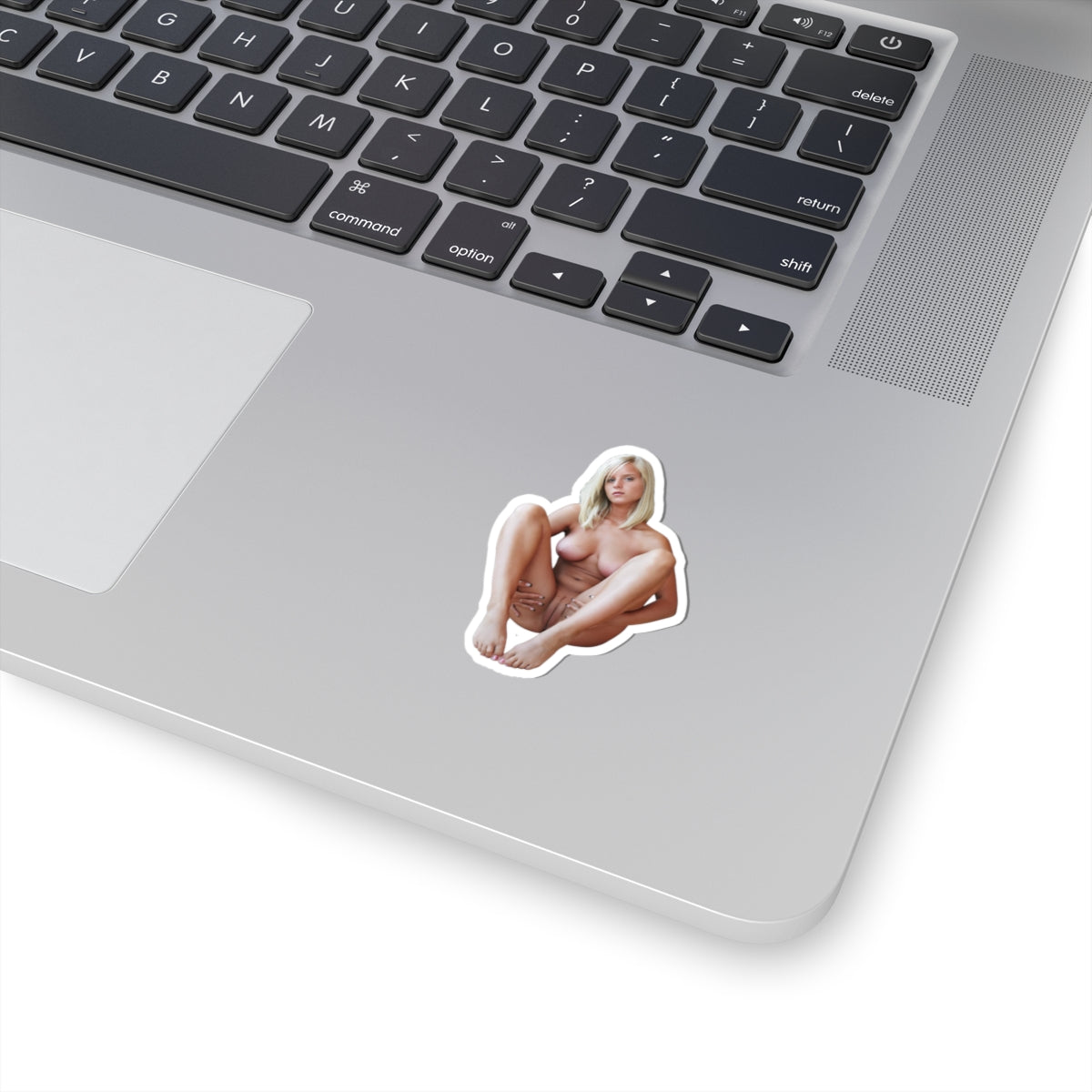 Sexy Woman Vinyl Sticker Pinup Adult Gift for Men
