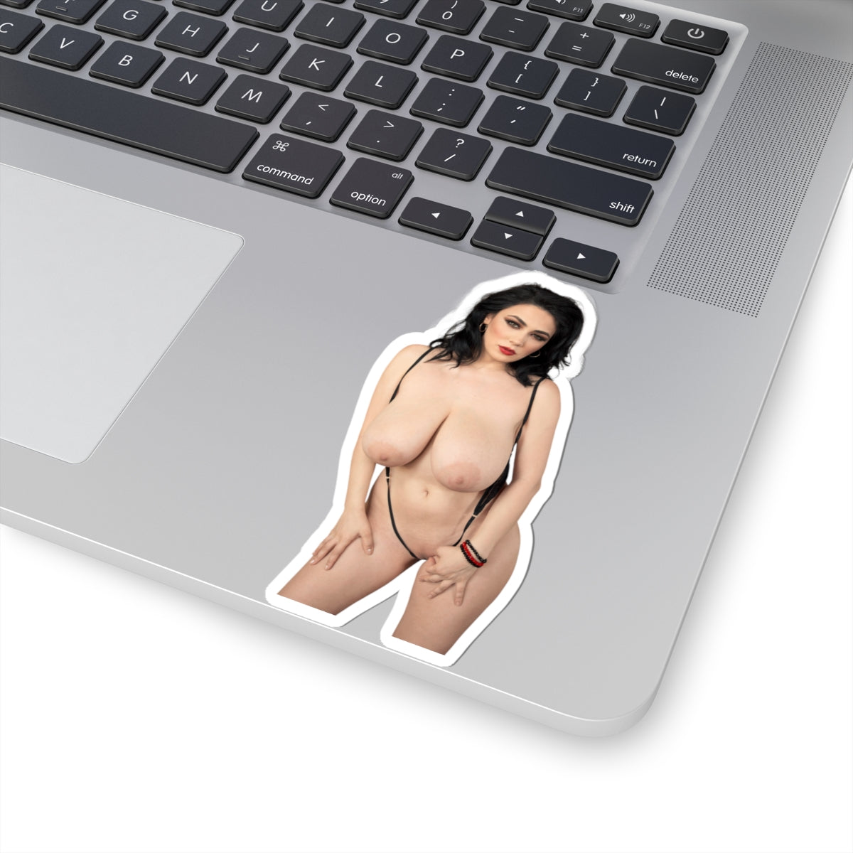 Adult Stickers Big Boobs Sexy Girl Sticker
