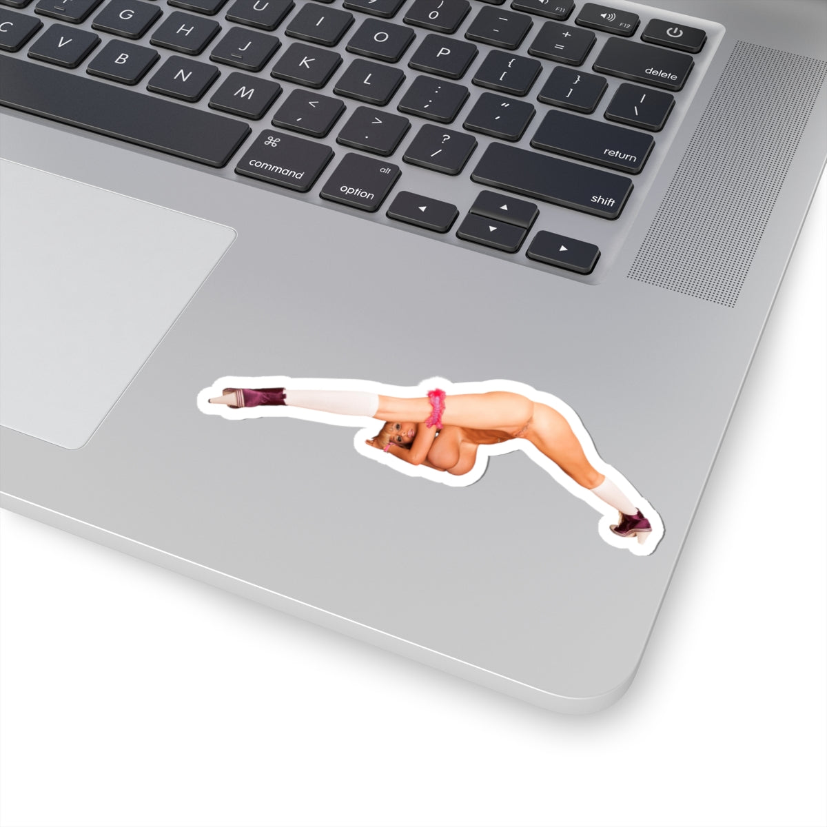 Big Tits Naked Model Sticker Pinup Stickers