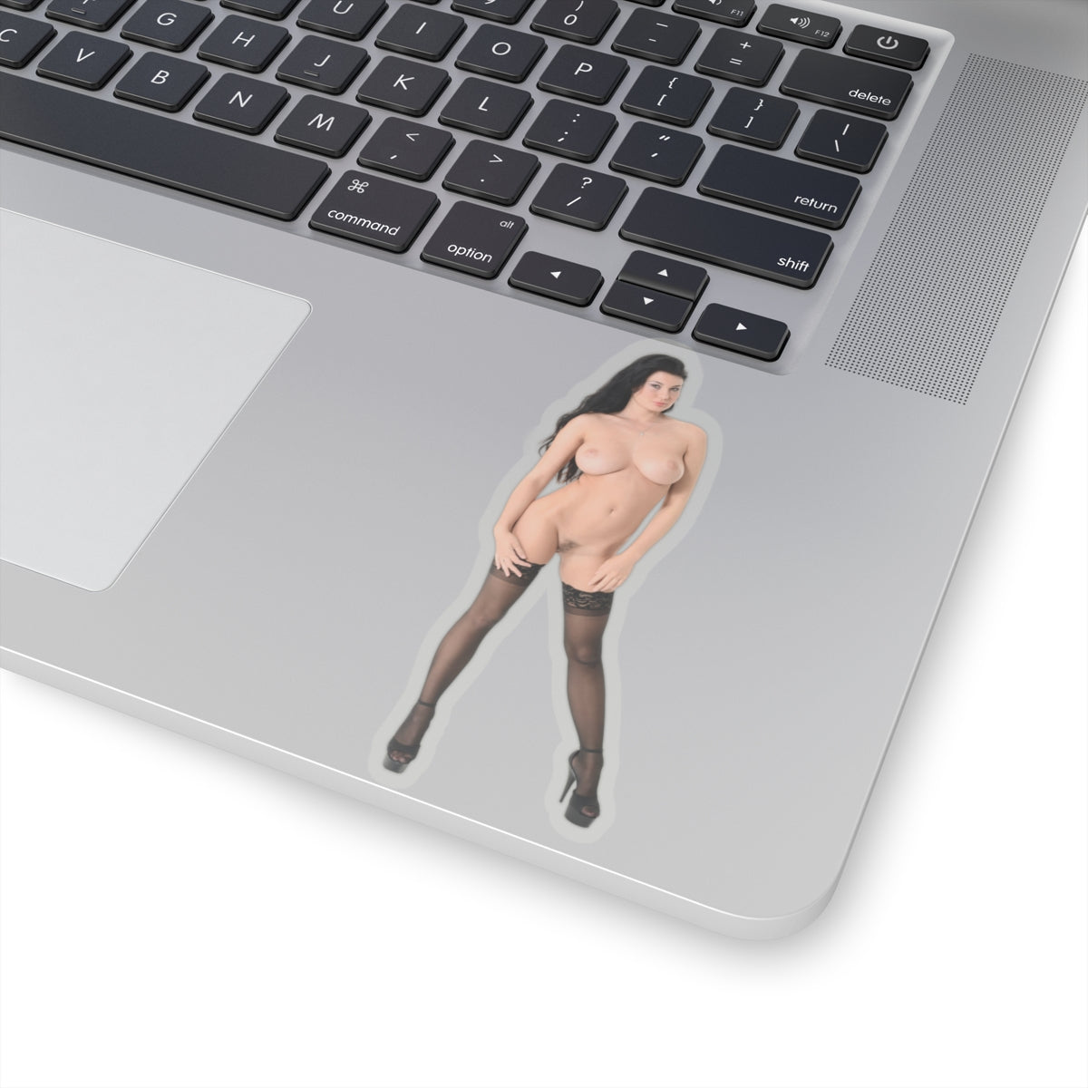 sexy brunette sticker naked pinup model stickers
