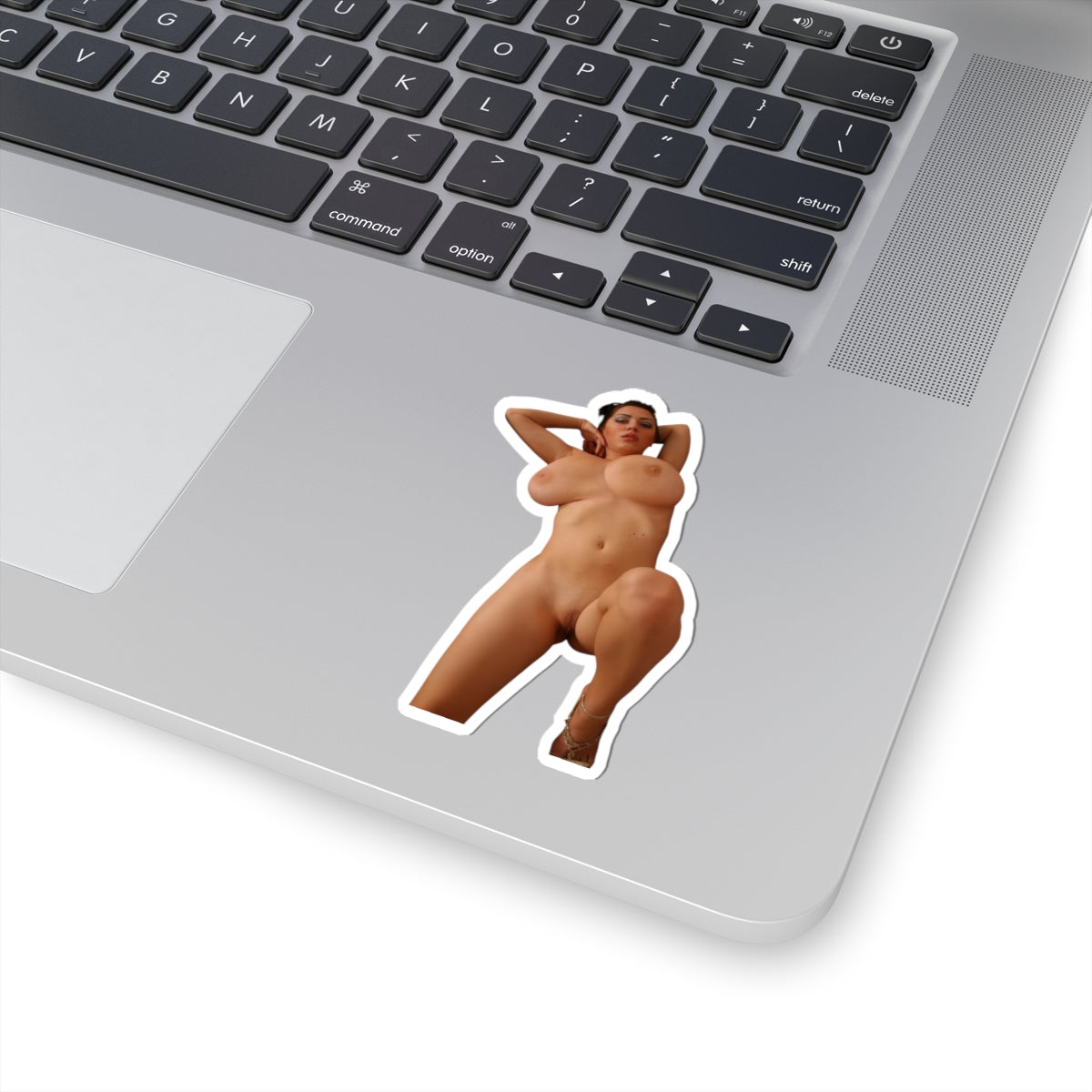Naked Model Sticker Pinup Girl Stickers