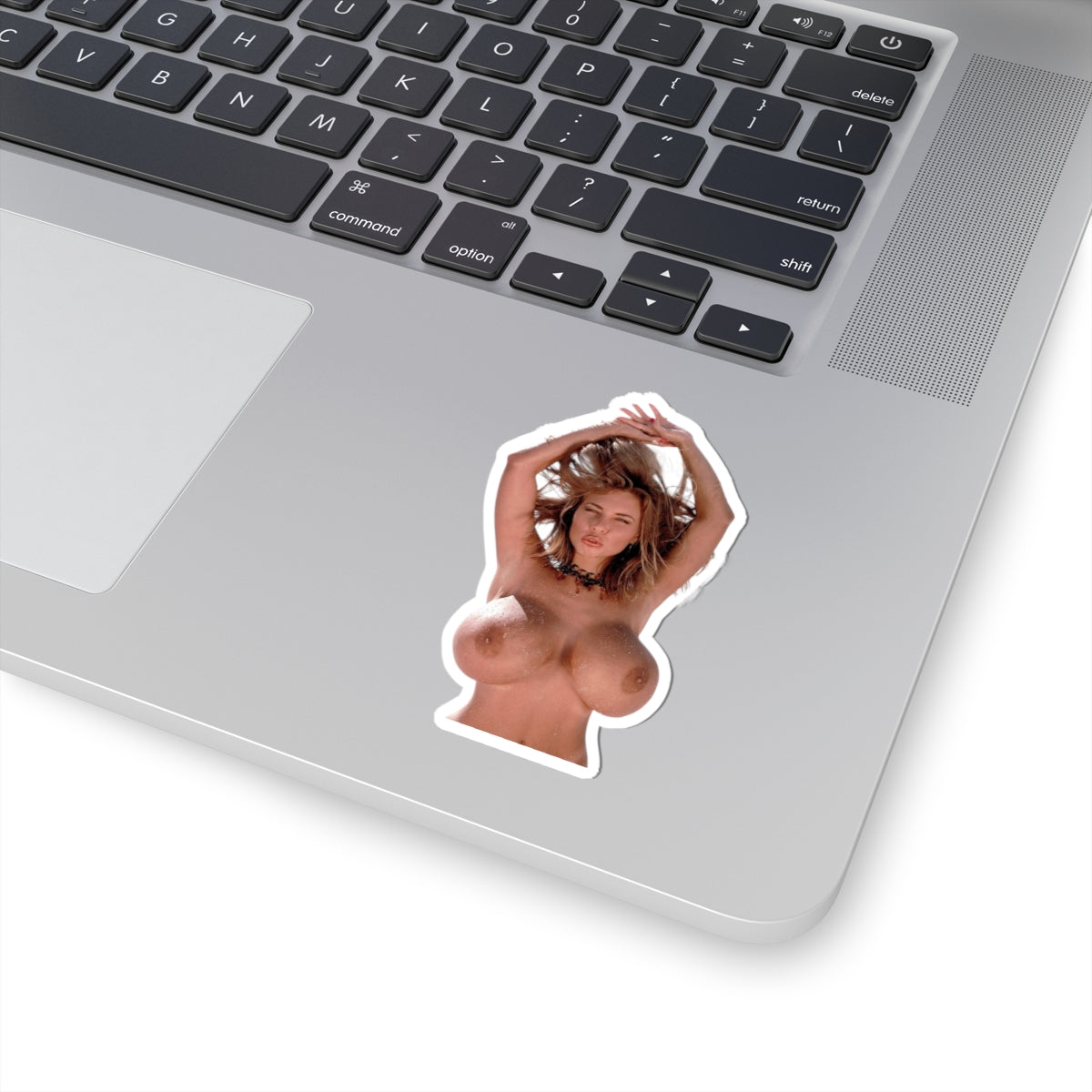 Adult Sexy Girl Sticker Pin-Up Model Nude Beauty Big Tits Vinyl Decor