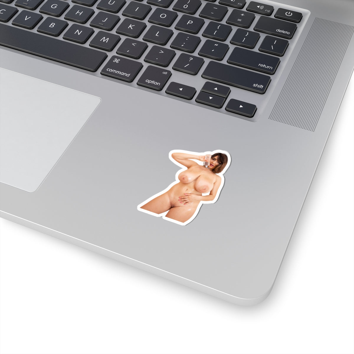Nude Sexy Woman Sticker Pin-Up Girl Big Tits Vinyl Decal Adult Collection