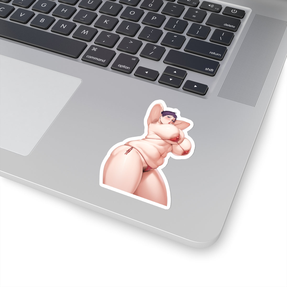 Hot Sexy Anime Girl,Anime Women  Sticker,Big Boobs Tits Women Girl,Lewd Stickers,Ecchi Stickers,Anime Stickers,E398