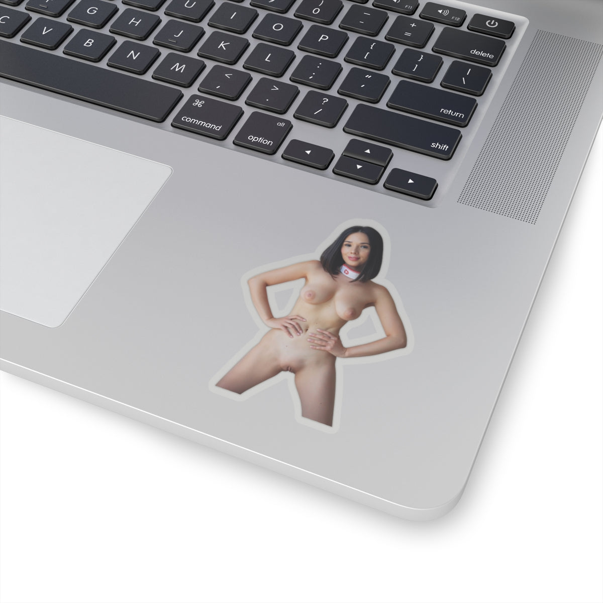 Pinup Stickers Sexy Naked Pretty Girls Sticker