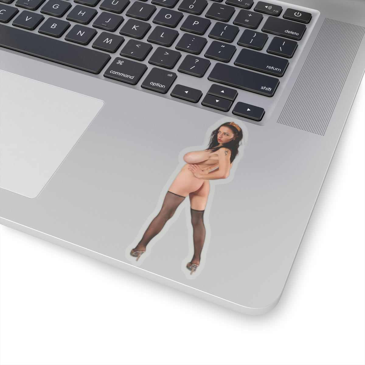 Erotic Pinup Decals Sexy Women Big Tits Girl Ass Sticker Mature Design