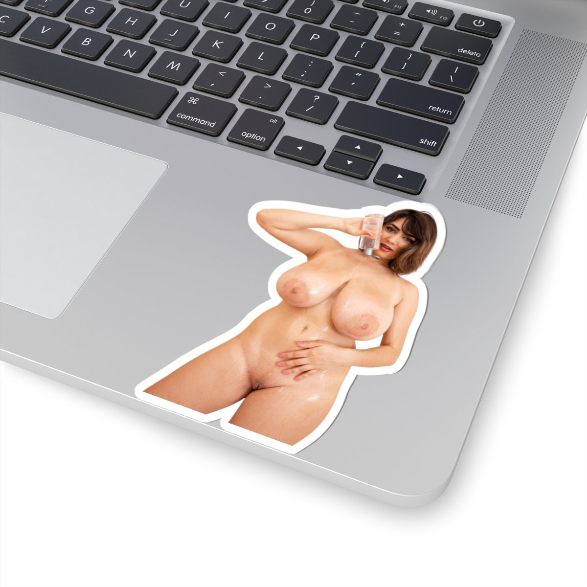 Nude Sexy Woman Sticker Pin-Up Girl Big Tits Vinyl Decal Adult Collection