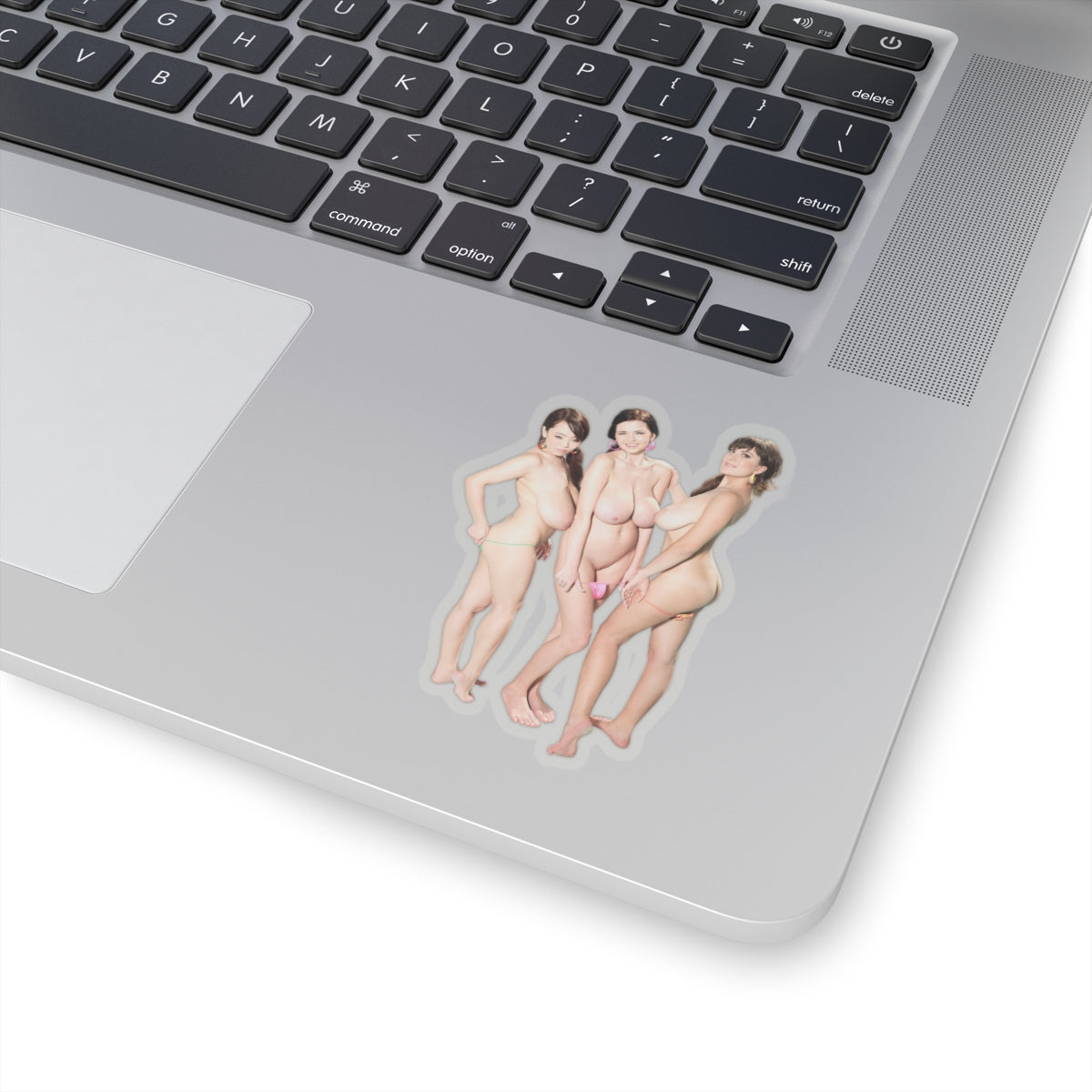 Sexy Girls Sticker Naked Big Tits Models Stickers