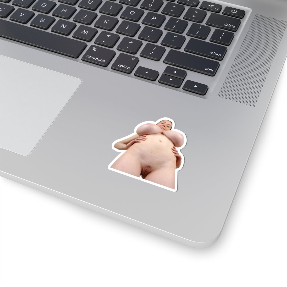 Big Tits Boobs Sexy Girl Stickers