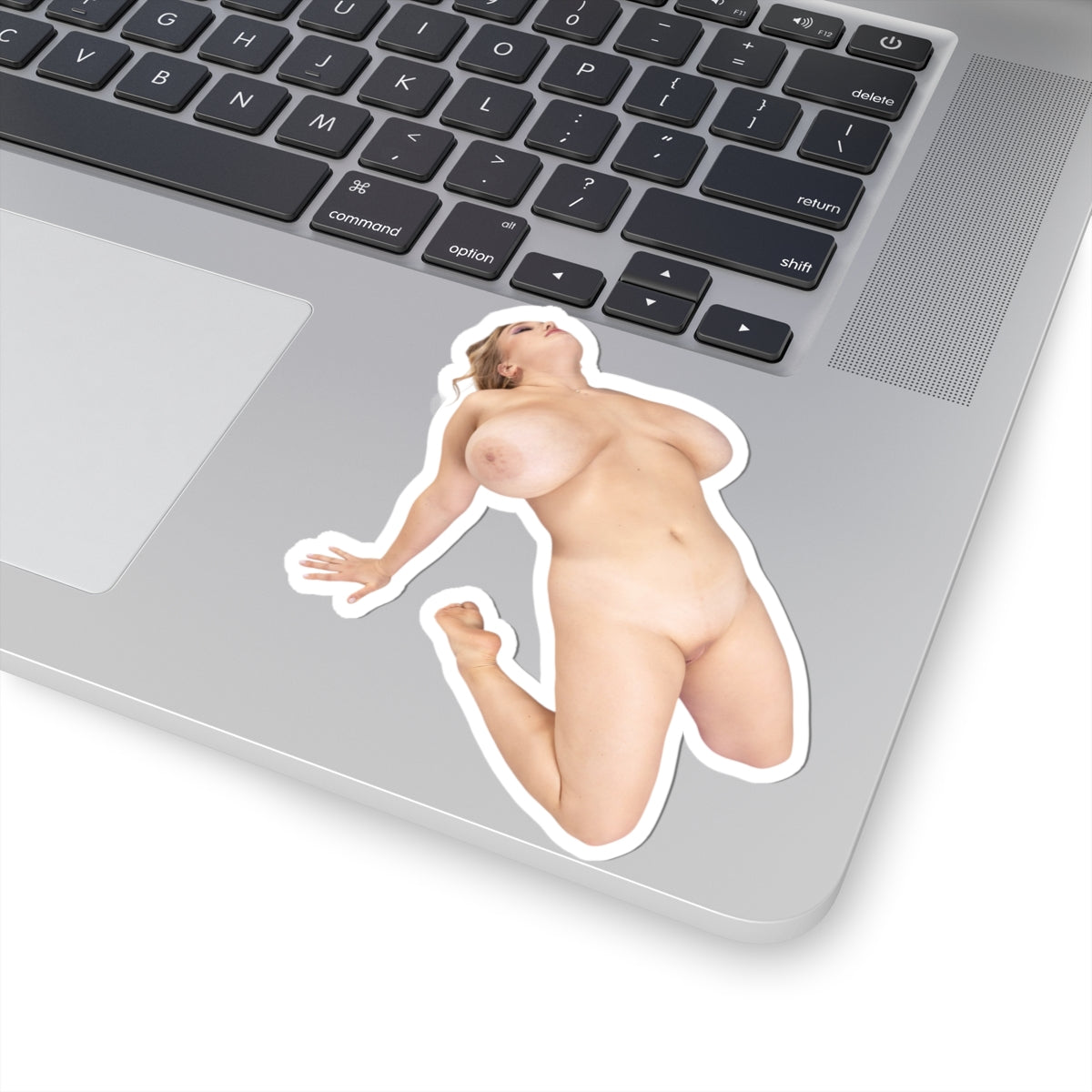 Big Tits Girl Sticker Naked Pinup Model Stickers